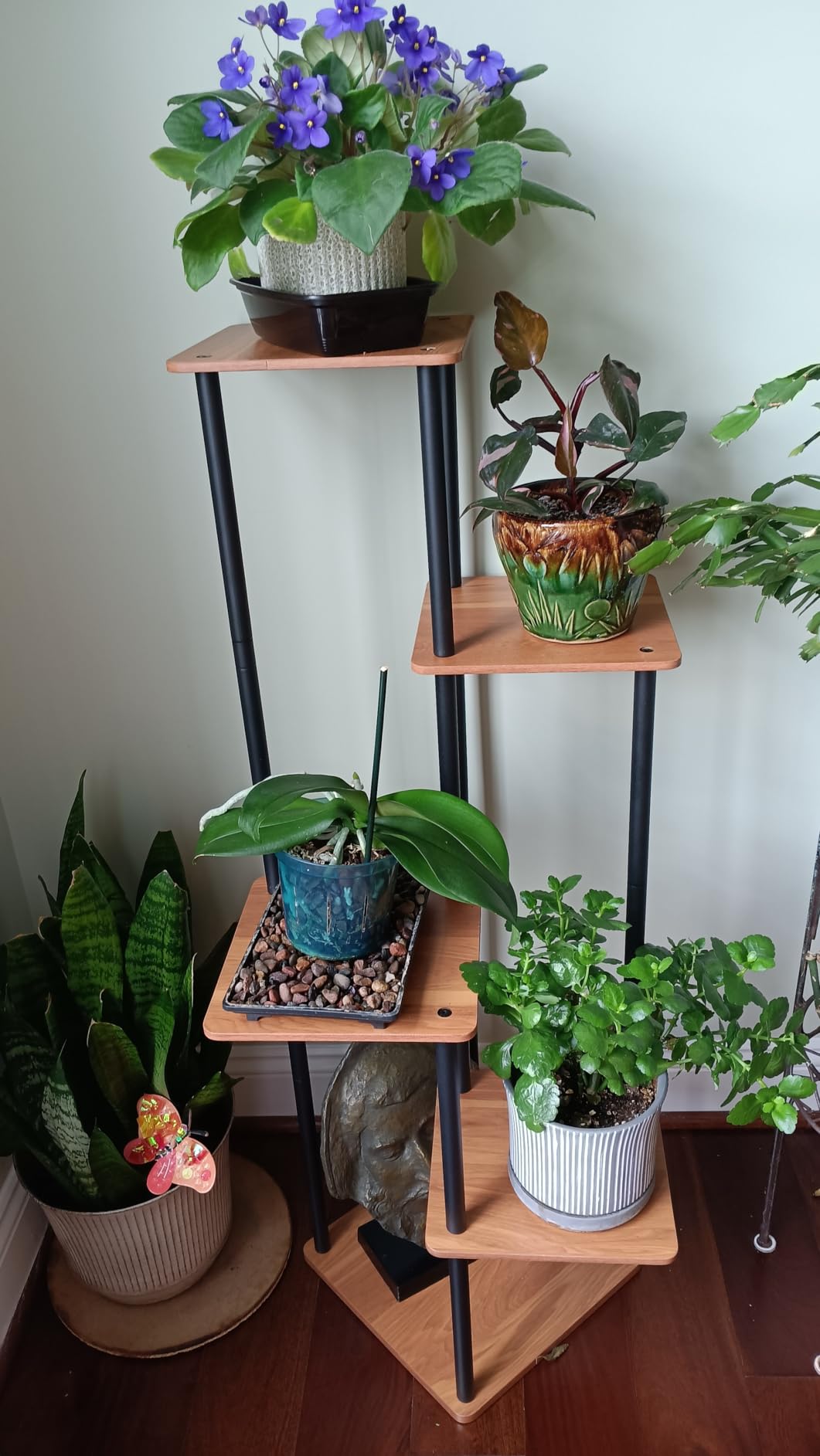AZERPIAN 5 Tier Tall Plant Stand Indoor Corner Tiered Shelf Metal MDF Board | Sturdy Metal Frame, Space-saving Tiered Design Display Multiple Plants, Modern Style for Home, Balcony, Office Black+Rustic Brown customer photo 1