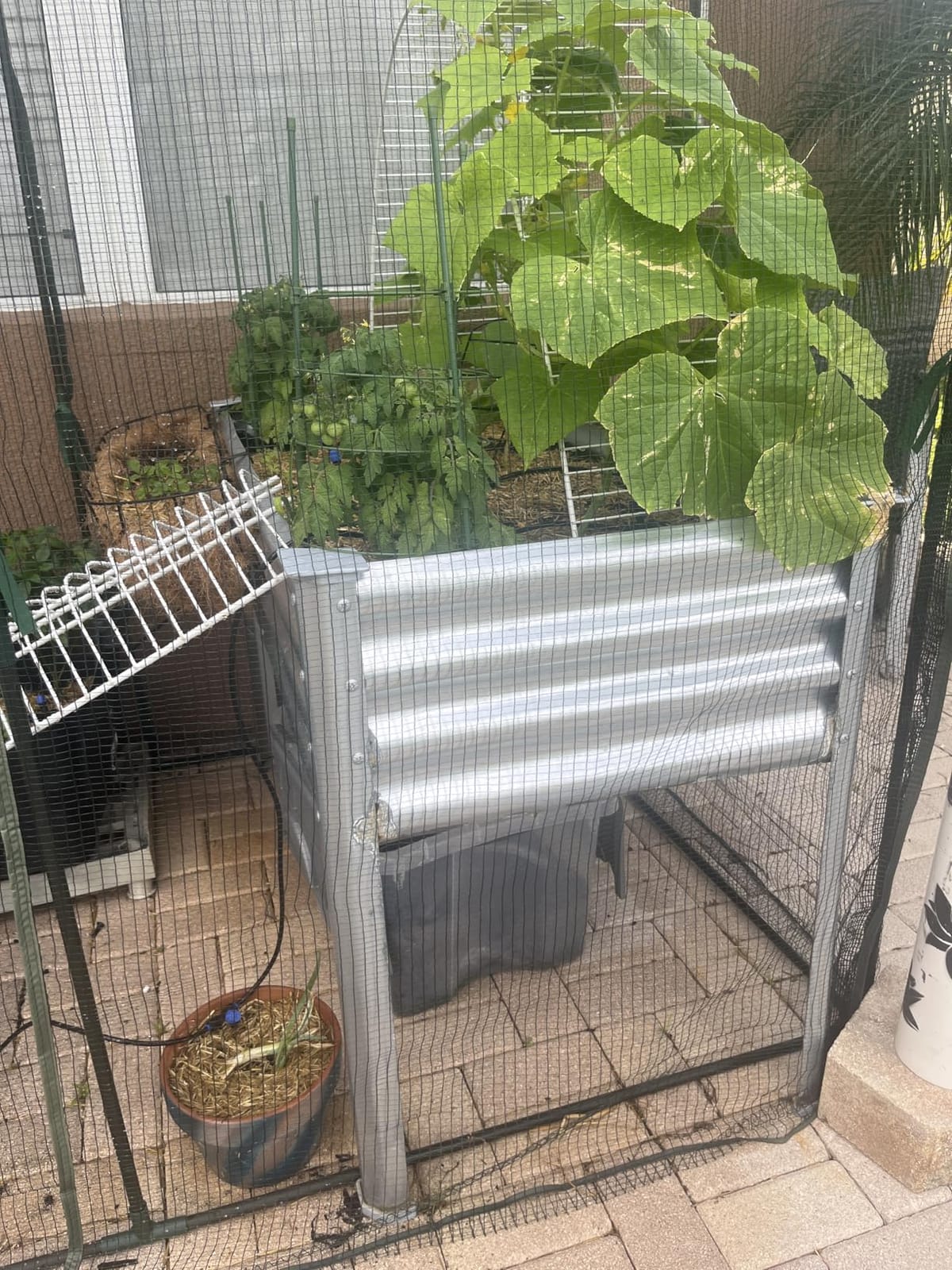 Land Guard Galvanized Raised Garden Bed with Legs, 48×24×32in Large Metal Elevated Raised Planter Box with Drainage Holes for Backyard, Patio, Balcony, 700lb Capacity customer photo 1