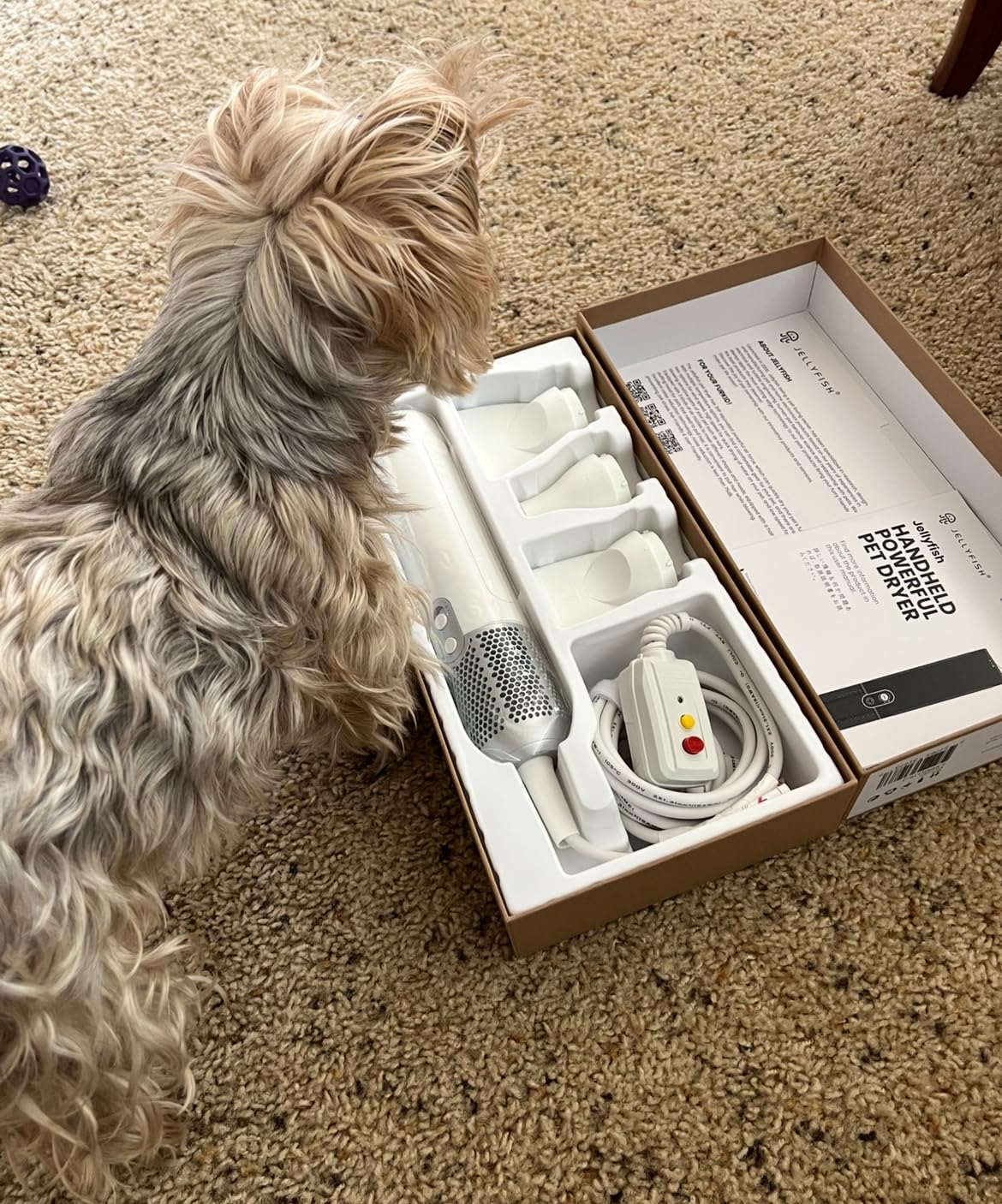 Jellyfish Handheld Dog Dryer - 1.21lb Lightweight, 2 Speeds, 4 Temp, Portable High Velocity Blow Dryer for Travel & Home customer photo 1
