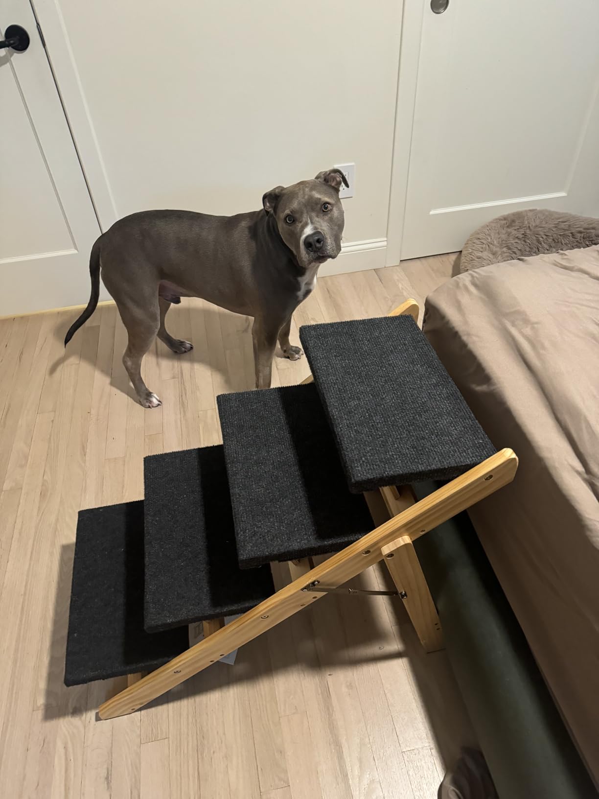 BRIKY 2-in-1 Dog Stairs/Ramp with 4 Steps | Foldable Dog Stairs for High Beds Cars Couch, Durable Wooden Pet Stairs for Small Medium Large Dogs, No Assembly Required customer photo 2