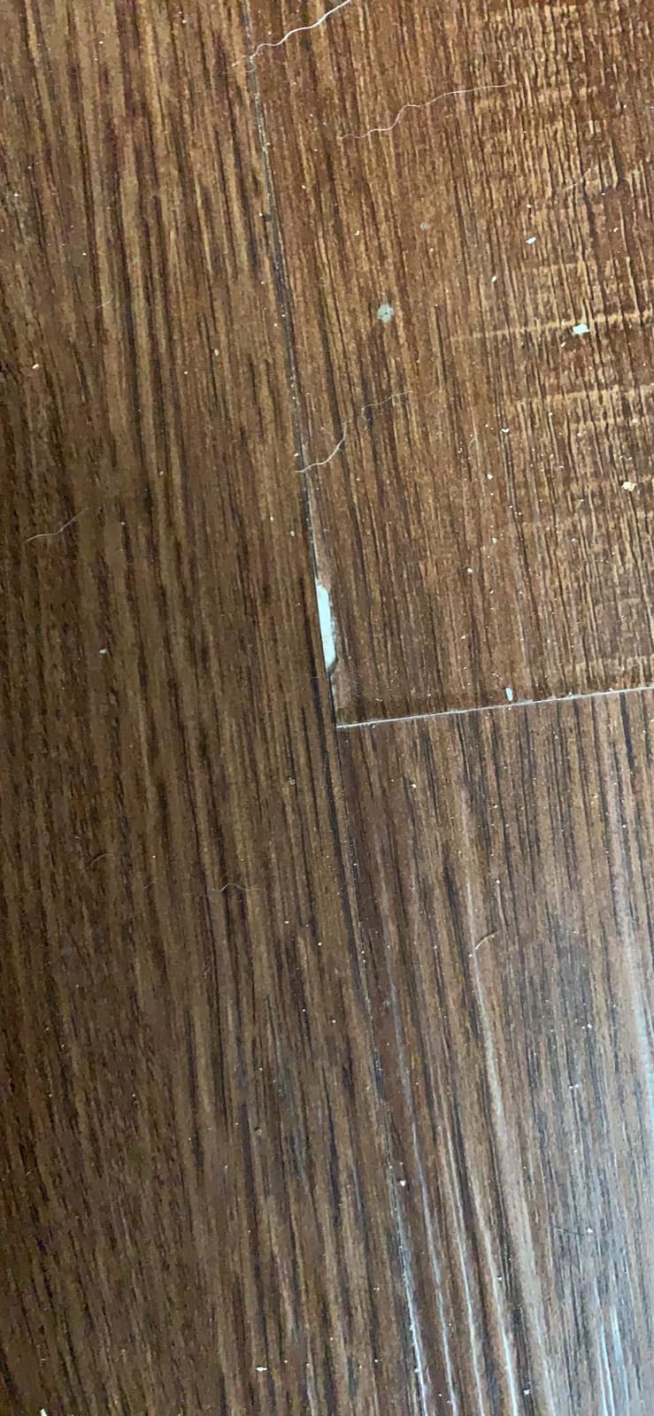 Lucida Surfaces MaxCore Pro 7.31x48in 20mil 5mm 24.5SqFt Click Lock LVP customer photo 1
