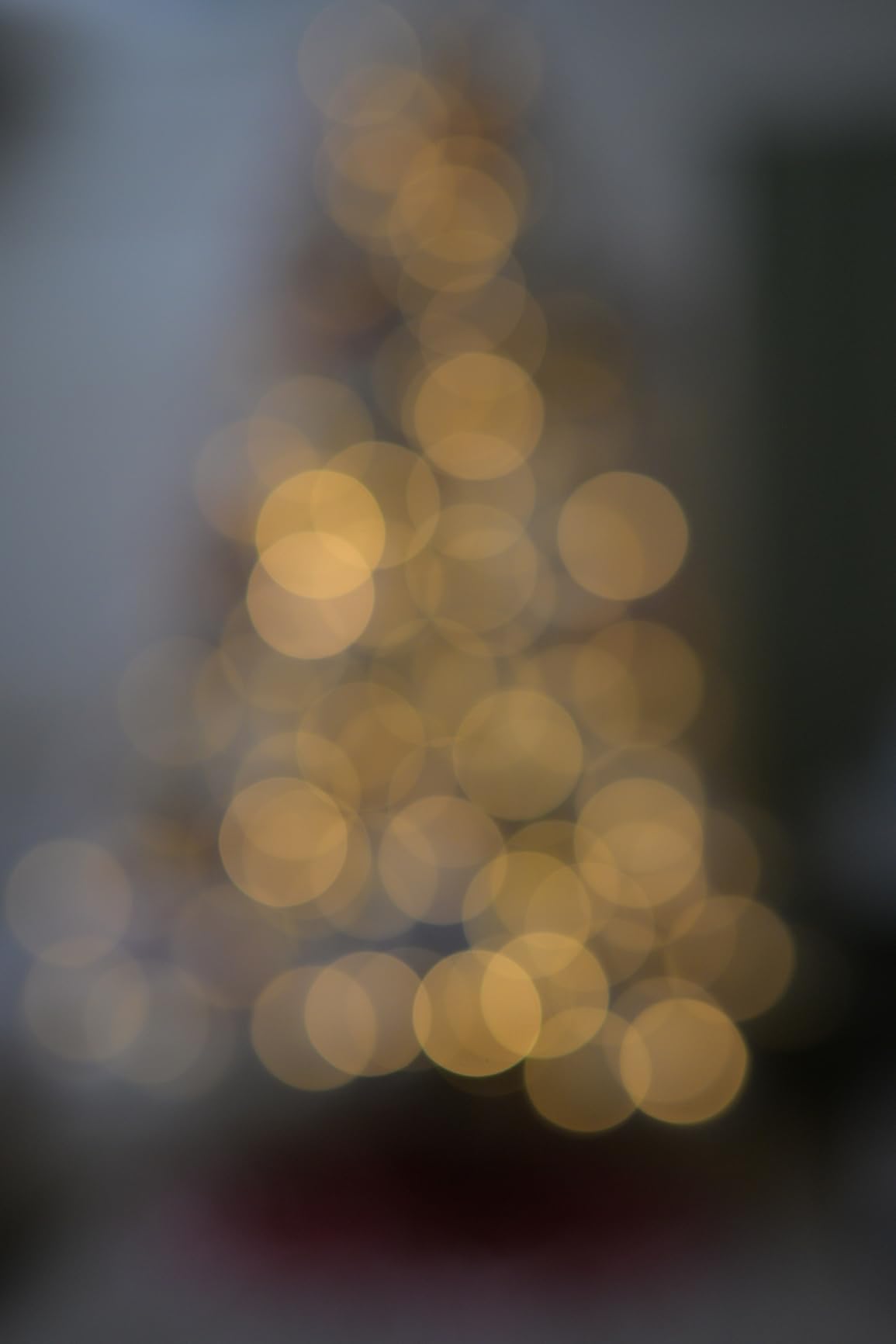 Nikon NIKKOR Z 40mm f/2 (SE) | Focus as close as 0.96 ft, Just 1.8 inches long and weighs only 6 ounces customer photo 2