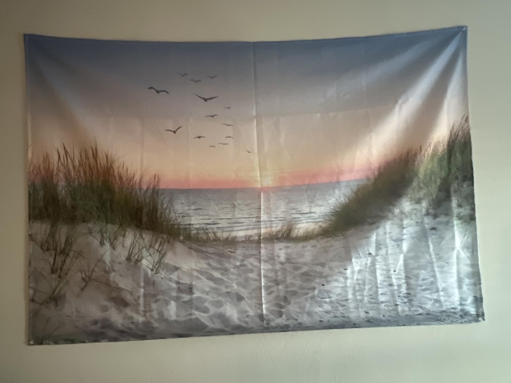 HVEST Ocean Beach Tapestry Wall Hanging, Sunset Seabird and Beach with Grass Wall Hanging Tapestry Natural Landscape Tapestry for Bedroom Living Room Dorm Decoration Wall Decor, 80x60 Inches customer photo 2