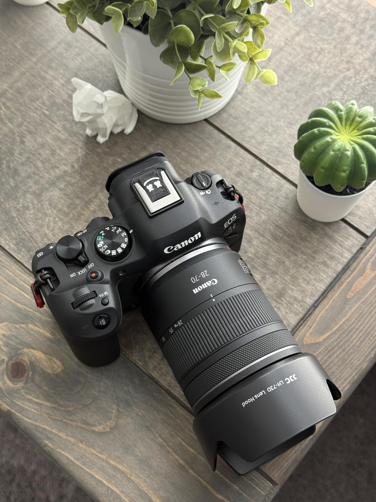 Canon EOS R6 Mark II Mirrorless Camera customer photo 1