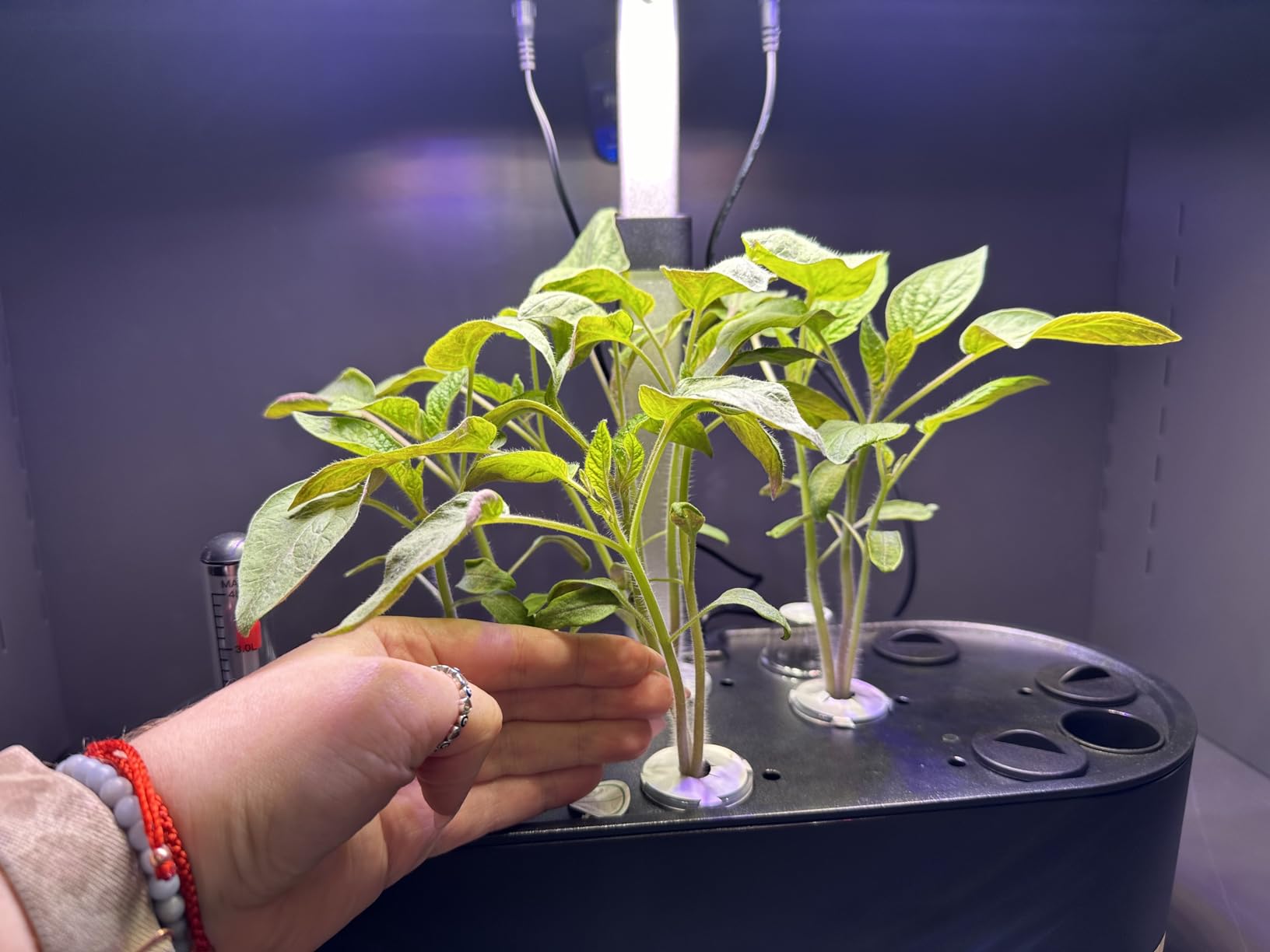 inbloom Hydroponics Growing System 12 Pods, Indoor Herb Garden with LEDs Full-Spectrum Plant Grow Light, Water Shortage Alarm, Automatic Timer, Height Adjustable,Gardening Gifts for Women, White customer photo 1