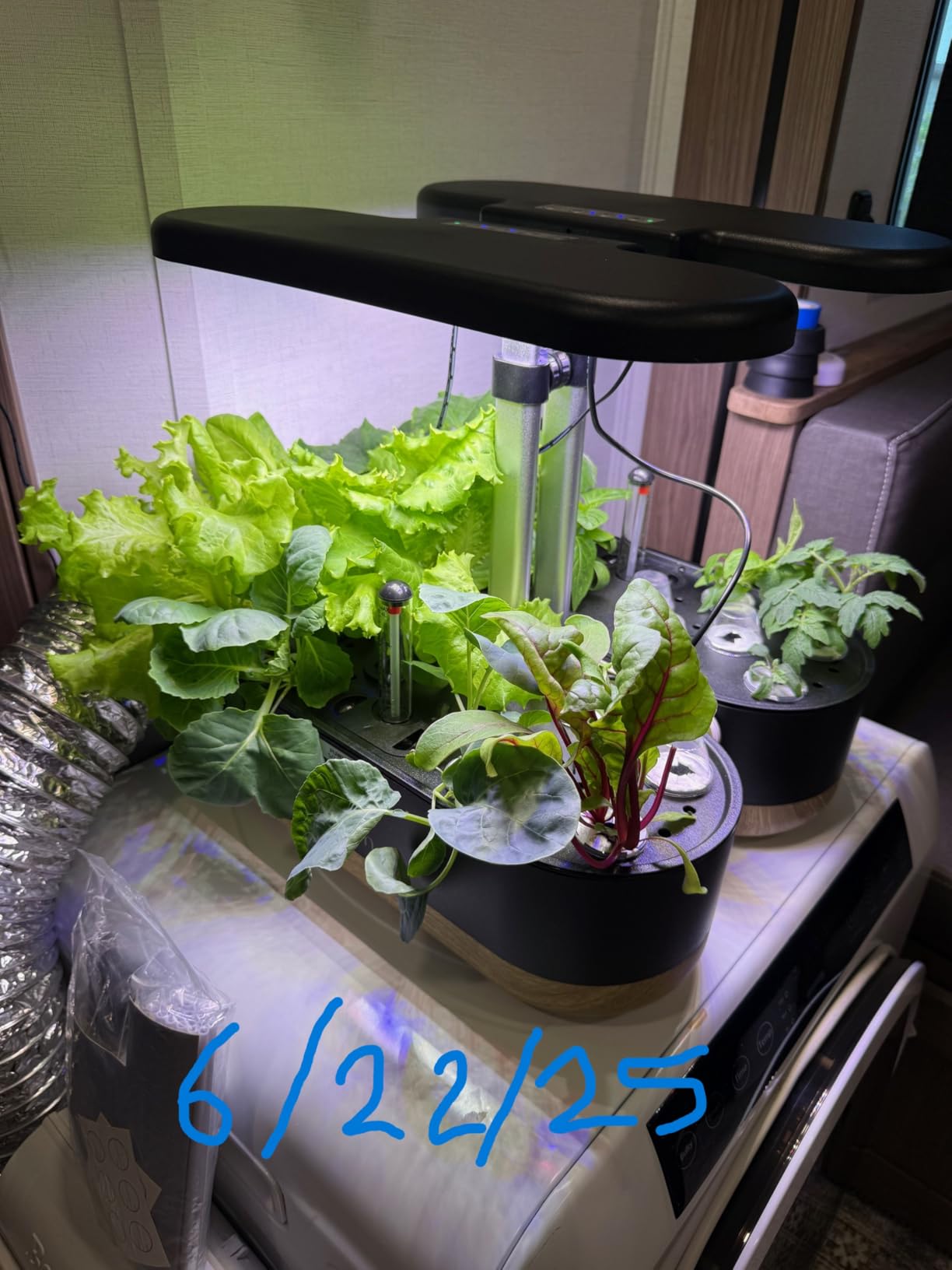 inbloom Hydroponics Growing System 12 Pods, Indoor Herb Garden with LEDs Full-Spectrum Plant Grow Light, Water Shortage Alarm, Automatic Timer, Height Adjustable,Gardening Gifts for Women, White customer photo 2