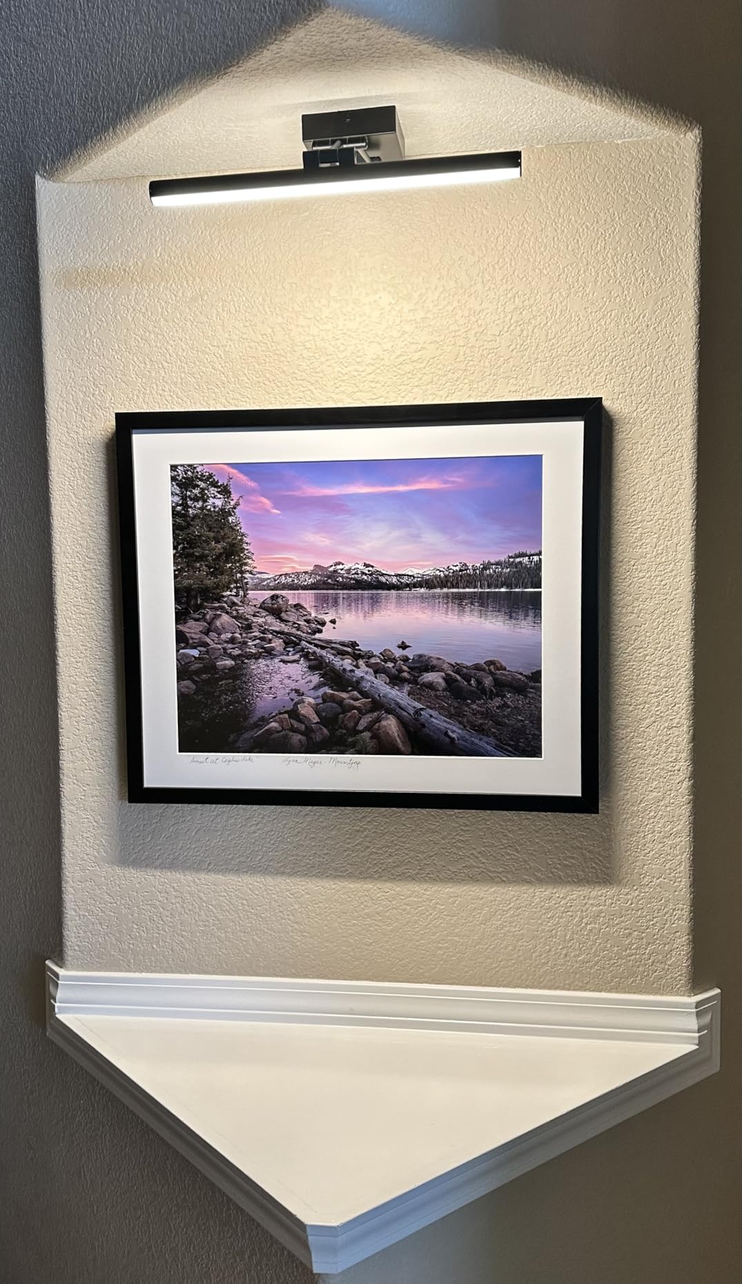 Hard-Wired Picture Lights for Wall Dimmable Brass Gallery Light 15.5 Inch | Picture Frame Lights with Adjustable Swing Arm, Art Light for Painting, Artwork, Display, Portrait, Library customer photo 1