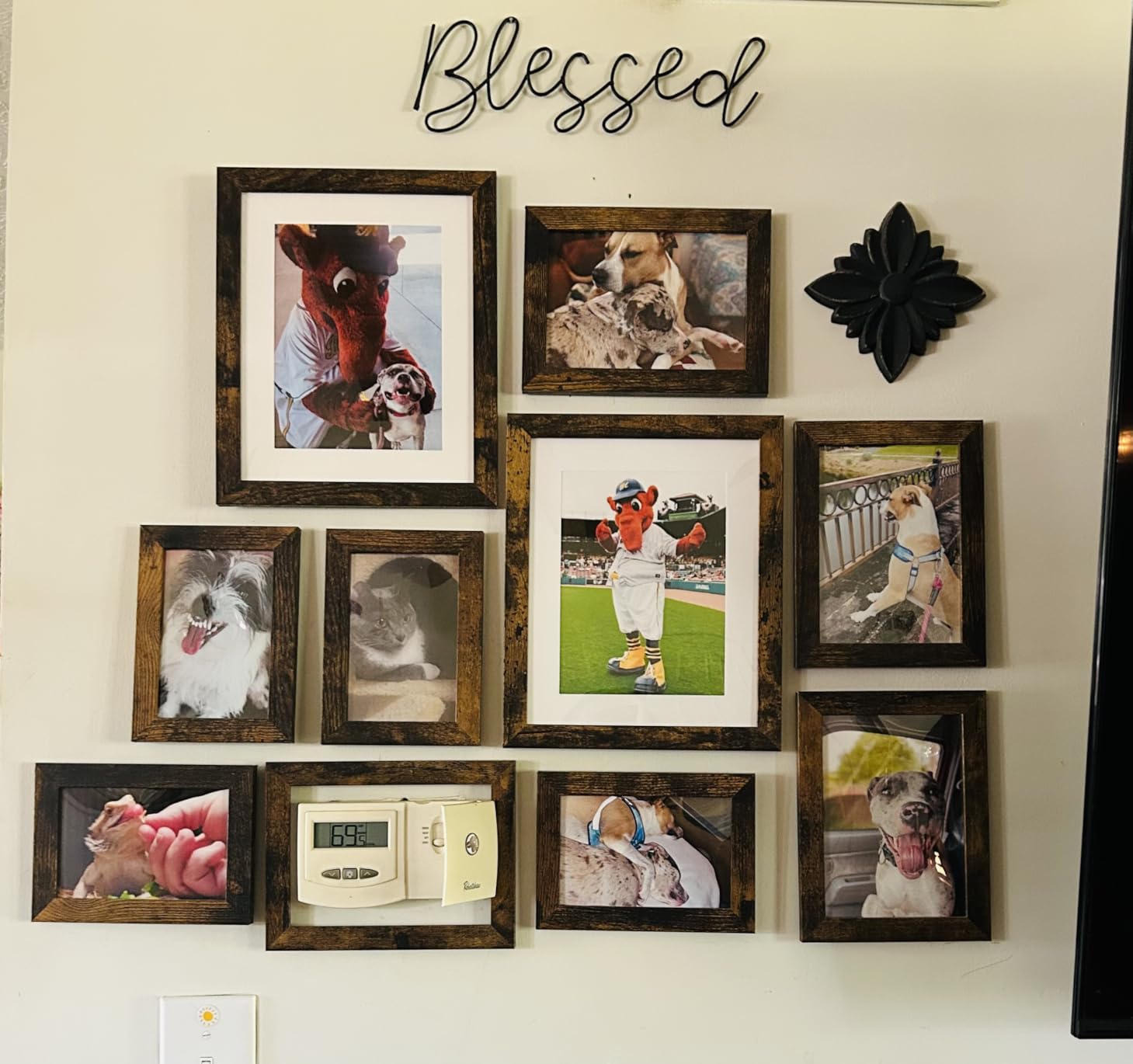 Picture Frame Set 10 pack, Farmhouse Photo Frames, Gallery Wall Frame Collage, with Two 8x10, Four 5x7, Four 4x6 Photo Frame set, in 3 Different Finishes customer photo 1