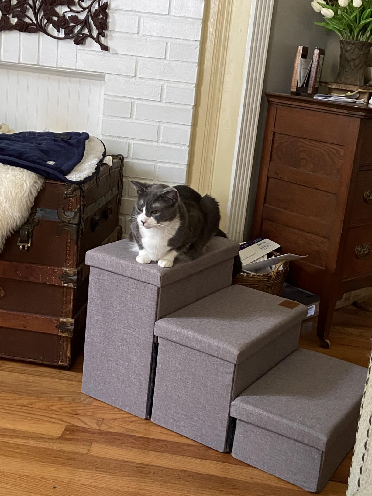Love's cabin Dog Stairs for High Bed 18 H, Foldable Pet Stairs for Small Medium or Large Dogs Puppy with Storage for Bed or Couch, Cat Dog Steps Ramp with Zip up to 200 lbs, Solid Grey, 3 Steps customer photo 1