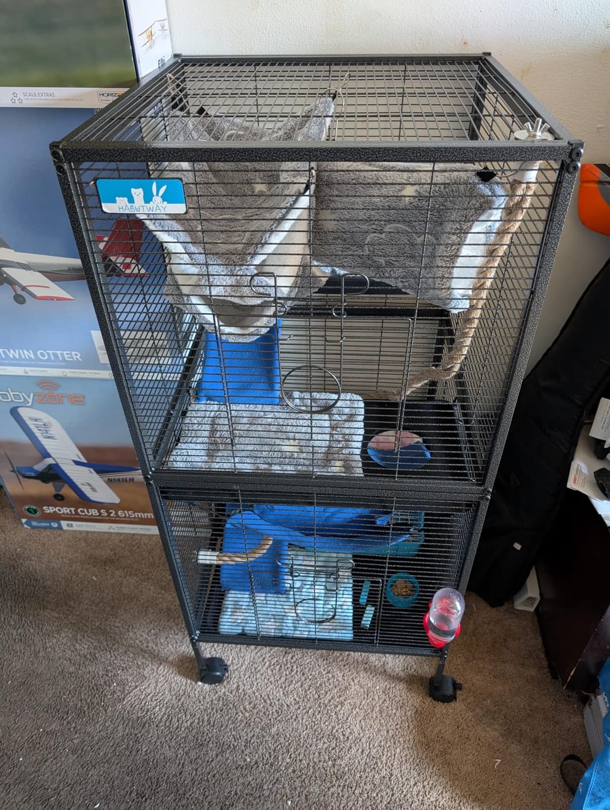 HABUTWAY 50''H Metal Small Animal Cages, Rolling Chinchilla Cage with Removable Ramps, Large Cage for Chinchillas/Guinea Pigs/Rabbit, Ferret Cages with Hammock & 5 Tiers, Black customer photo 2