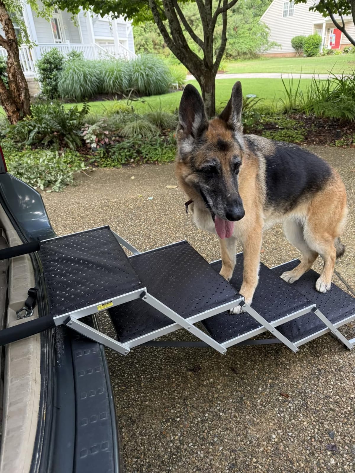 Extra Wide Dog Stairs for Large Dogs, Foldable Dog Ramp for Car with Non-Slip Surface, Dogs Stairs for Cars, High Beds, Truck, Supports up to 250 lbs, 4 Steps customer photo 1