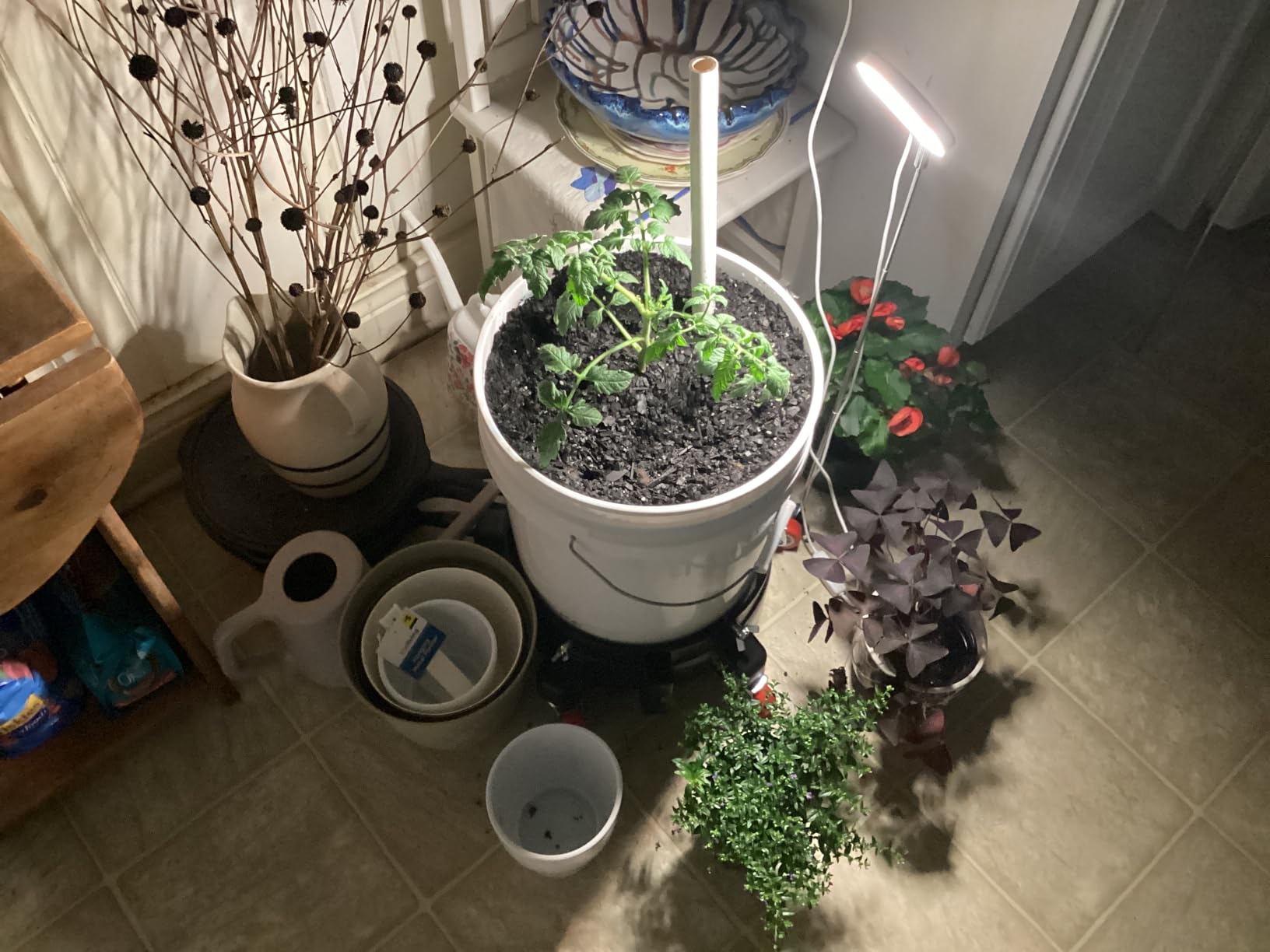 Kullsinss 3.5in Small Grow Lights for Indoor Plants, 48 LEDs Full Spectrum | White Plant Light with Base, 3/9/12H Timer & Dimmable, 26in Height Adjustable, 5V Low-Heat Grow Lamp for Small Potted Plants customer photo 1