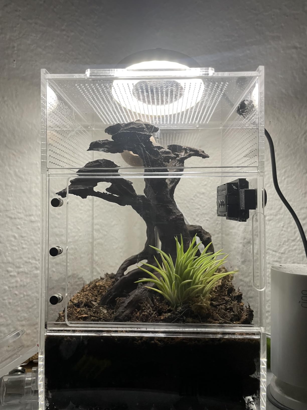 Kullsinss 3.5in Small Grow Lights for Indoor Plants, 48 LEDs Full Spectrum | White Plant Light with Base, 3/9/12H Timer & Dimmable, 26in Height Adjustable, 5V Low-Heat Grow Lamp for Small Potted Plants customer photo 2