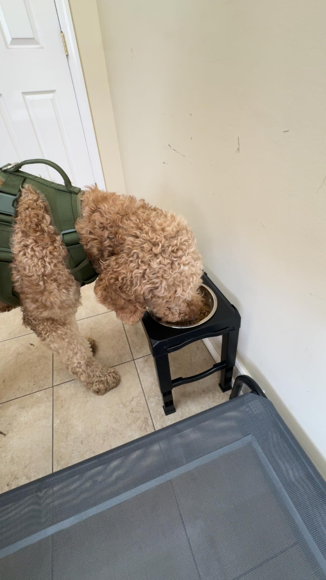 COMESOON Elevated Dog Bowls, 4 Height Adjustable Raised Bowl Stand with 2 Thick 50oz Stainless Steel Food Bowls Non-Slip Feeder Adjusts to 3.7'', 9.2'', 10.75'', 12.36'' Black customer photo 2
