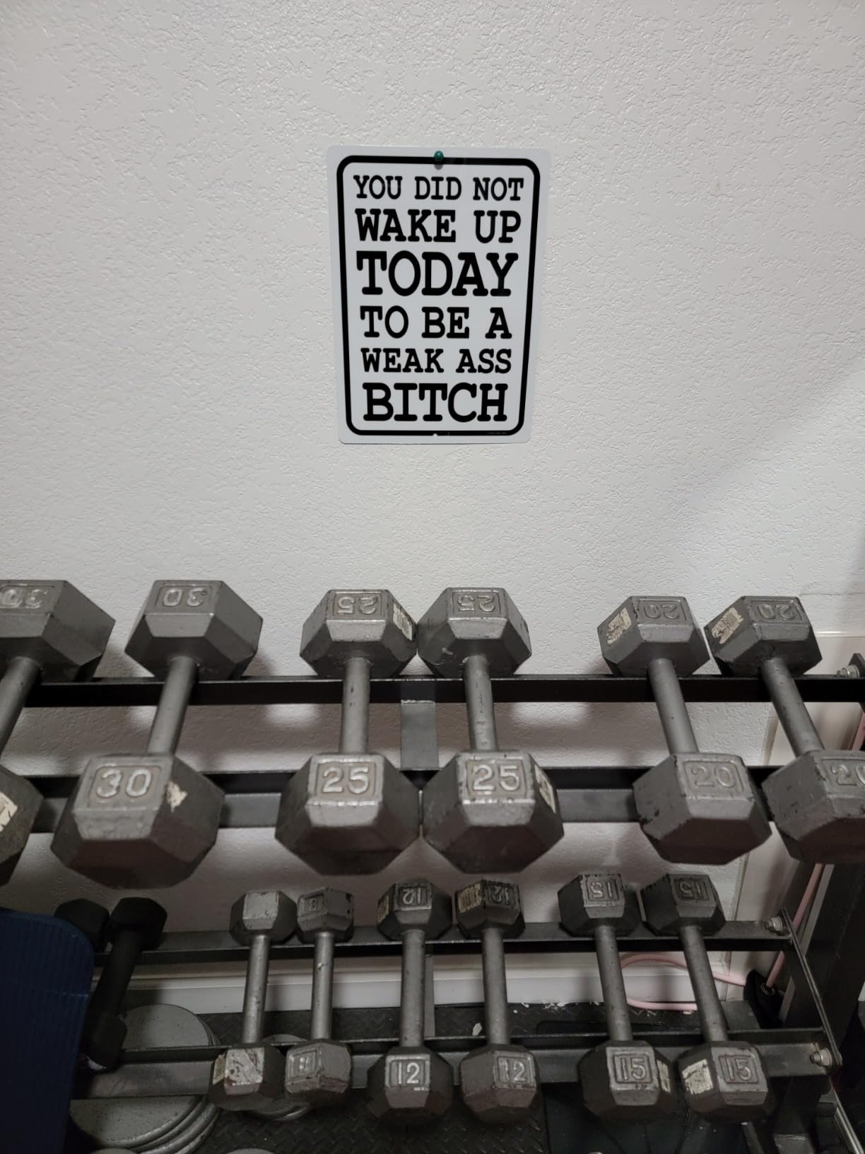 You Did Not Wake Up Today to Be Weak Ass Bitch HDG-1452 | 9 x 12 Inch Aluminum Motivational Sign, Home Gym Decor, Workout Room, Office Wall Art customer photo 2