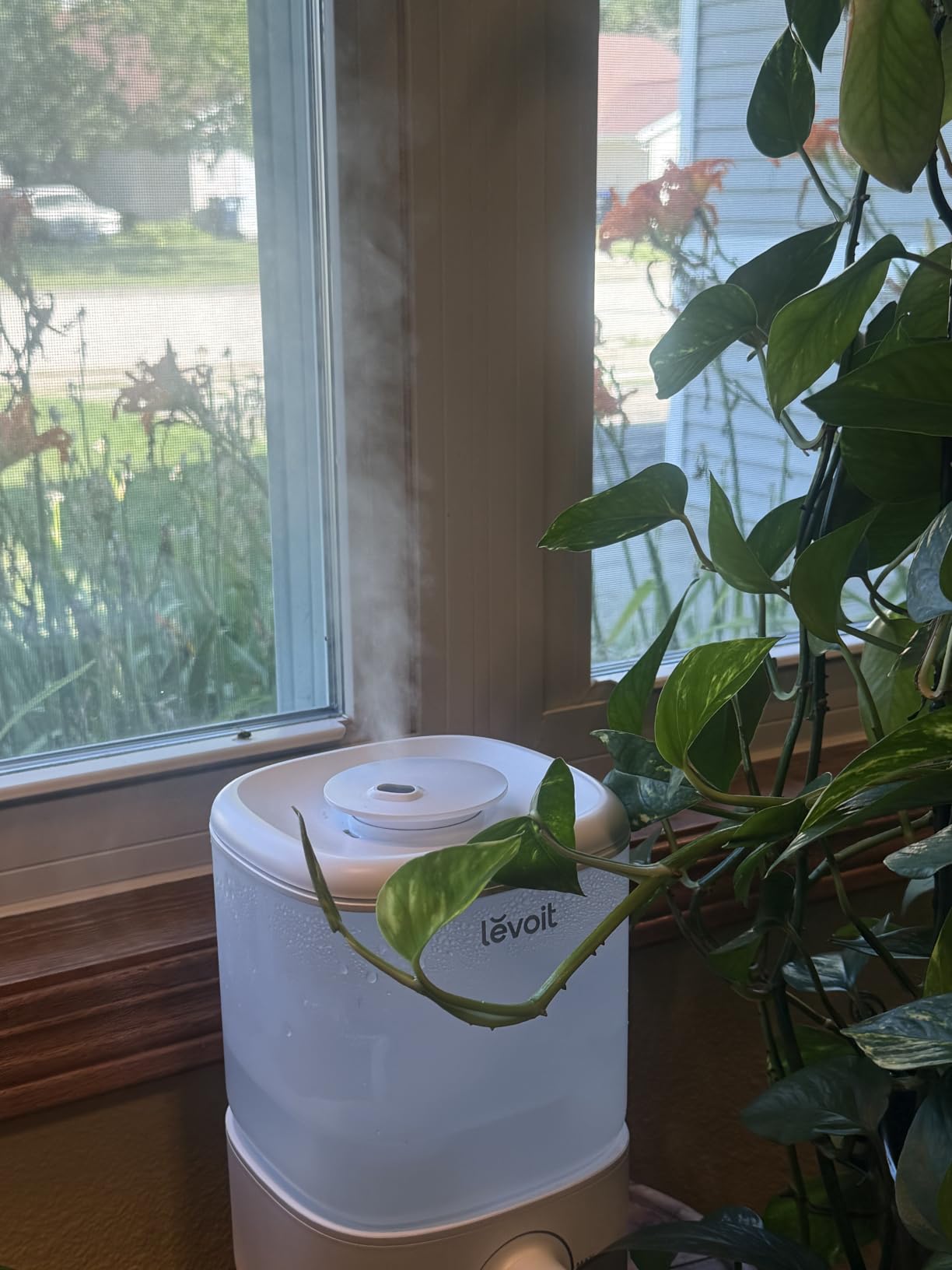 Levoit Top Fill Humidifiers for Bedroom, 2.5L Tank for Large Room, 28dB | Easy to Fill & Clean, Quiet Cool Mist Air Humidifier for Home Baby Nursery & Plants, Auto Shut-off for Safety, 25H Lasting customer photo 2