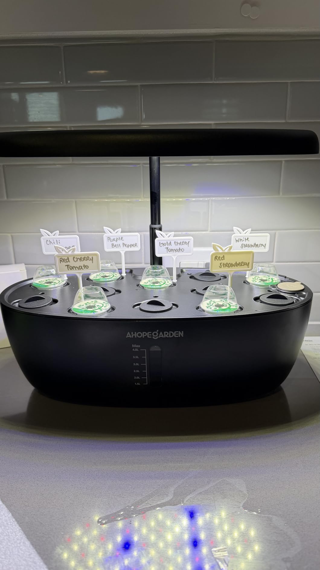Ahopegarden Hydroponics Growing System: 12 Pods Indoor Herb Garden with LED | Plant Germination Kit with LED Grow Light, Countertop Herb Garden, Hydroponic Planter Grower Harvest Vegetables Lettuce customer photo 1