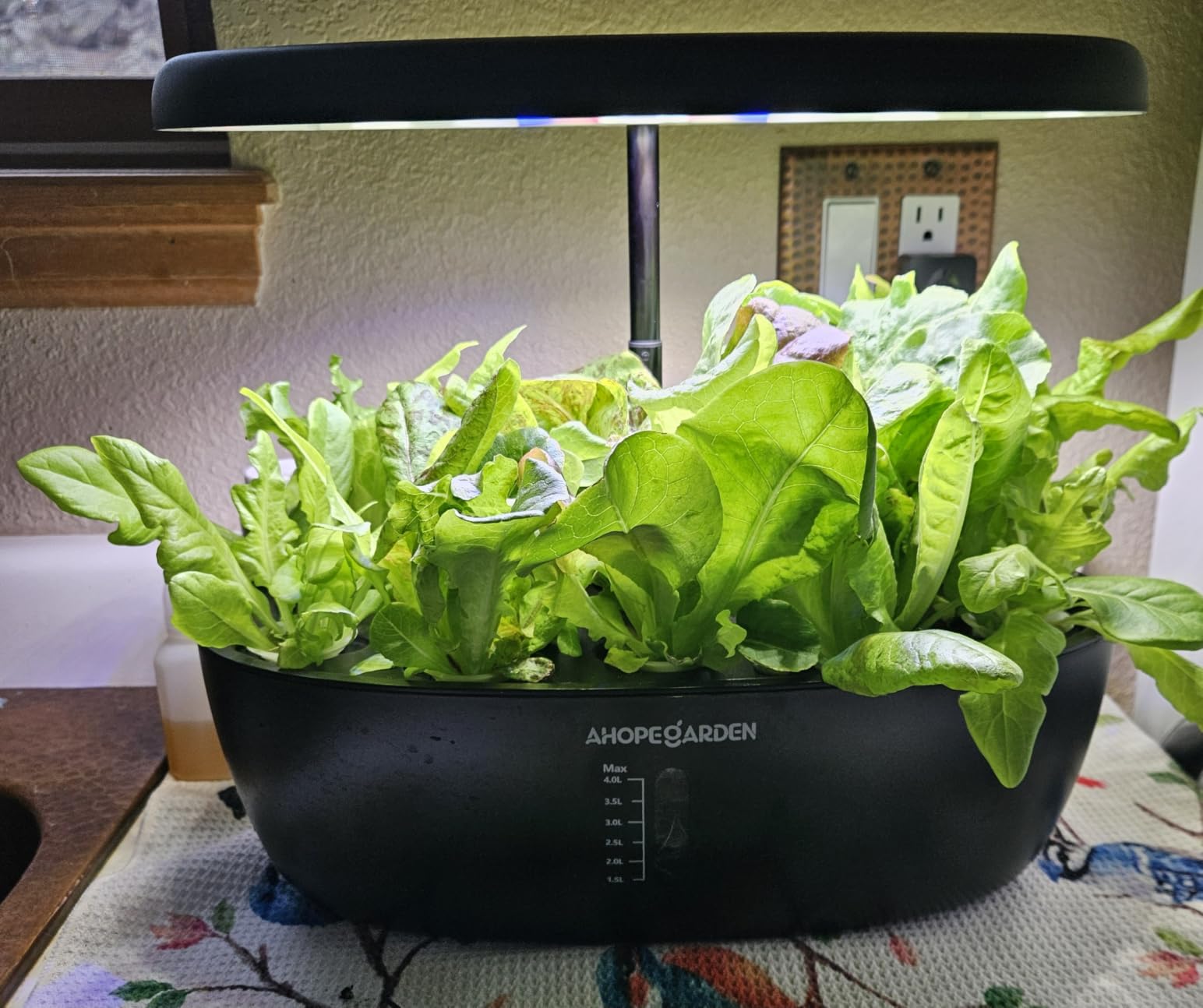 Ahopegarden Hydroponics Growing System: 12 Pods Indoor Herb Garden with LED | Plant Germination Kit with LED Grow Light, Countertop Herb Garden, Hydroponic Planter Grower Harvest Vegetables Lettuce customer photo 2
