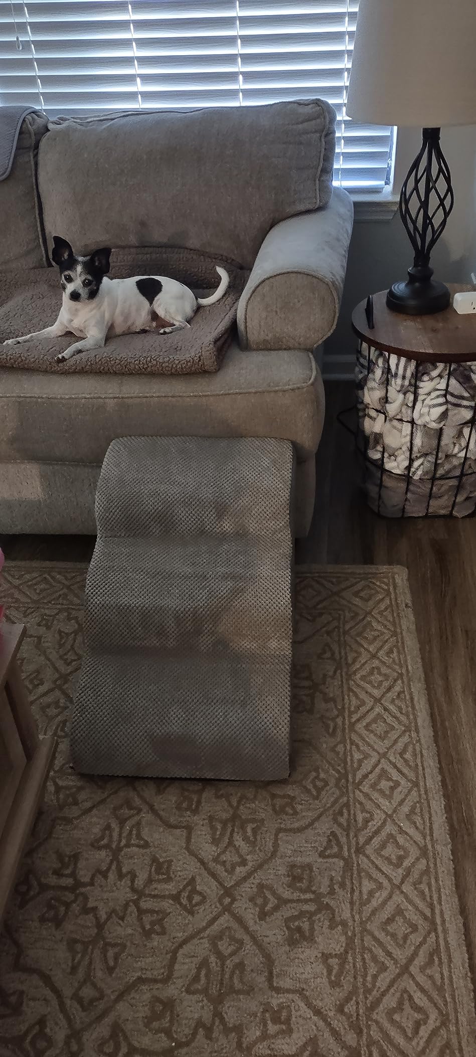 CiWiVOKi Dog Stairs for Bed, 5-Step Dog Steps for Couch and High Bed, Non-Slip Pet Stairs, 24