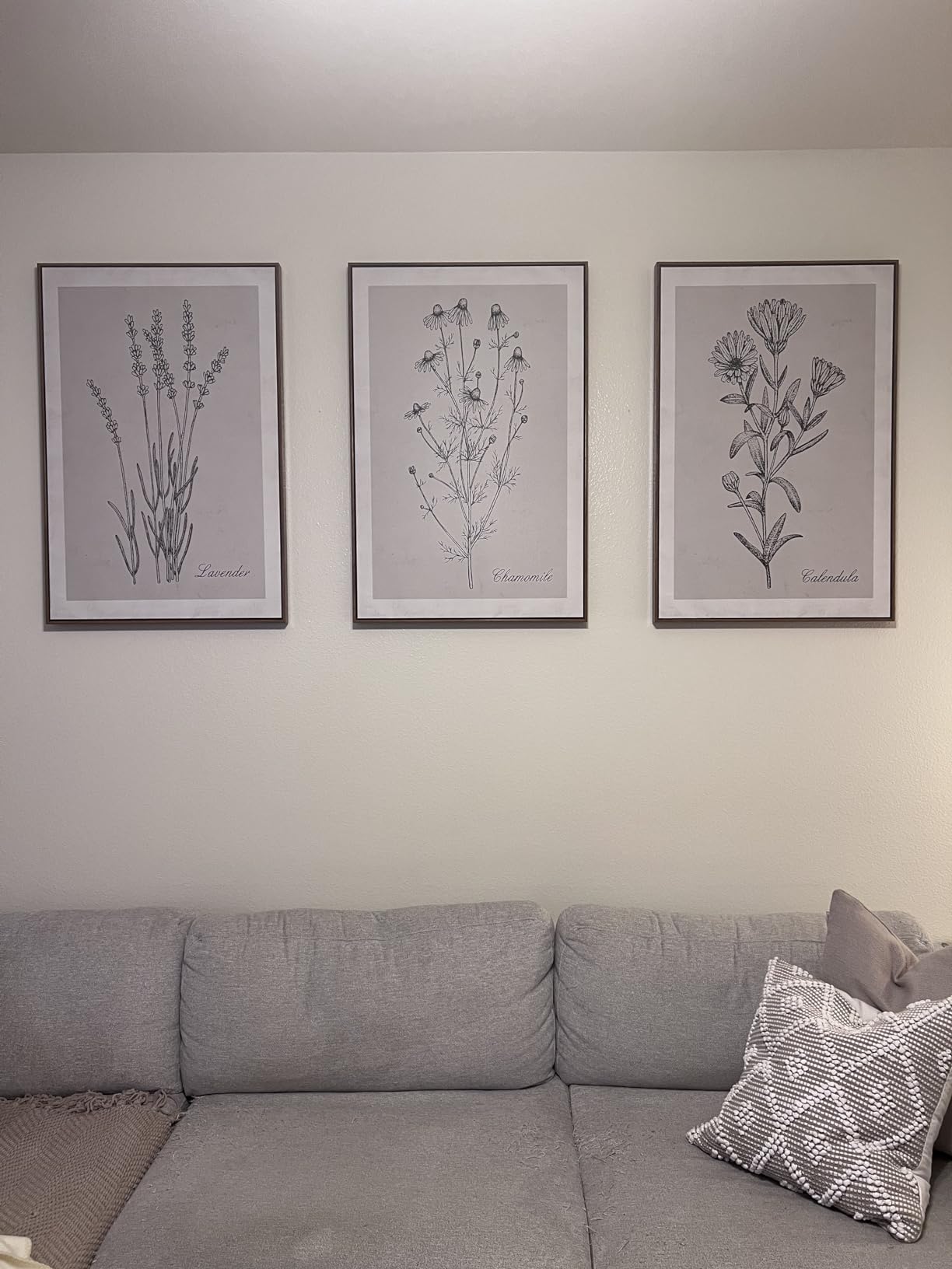 NWT Framed Canvas Print Wall Art Set Joshua Tree Desert Landscape Road Trip Texas Nature Wilderness Photography Modern Art Decorative Minimalist Floral Botanical for Bedroom - 16