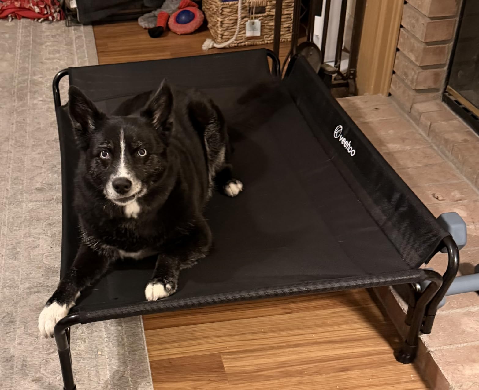 Veehoo Cooling Elevated Dog Bed, Raised Pet Cot with Guardrail & Slope Headrest, Durable & Breathable Teslin Mesh, Non-Slip Feet, Washable Dog Sofa Bed for Indoor & Outdoor, Large 47
