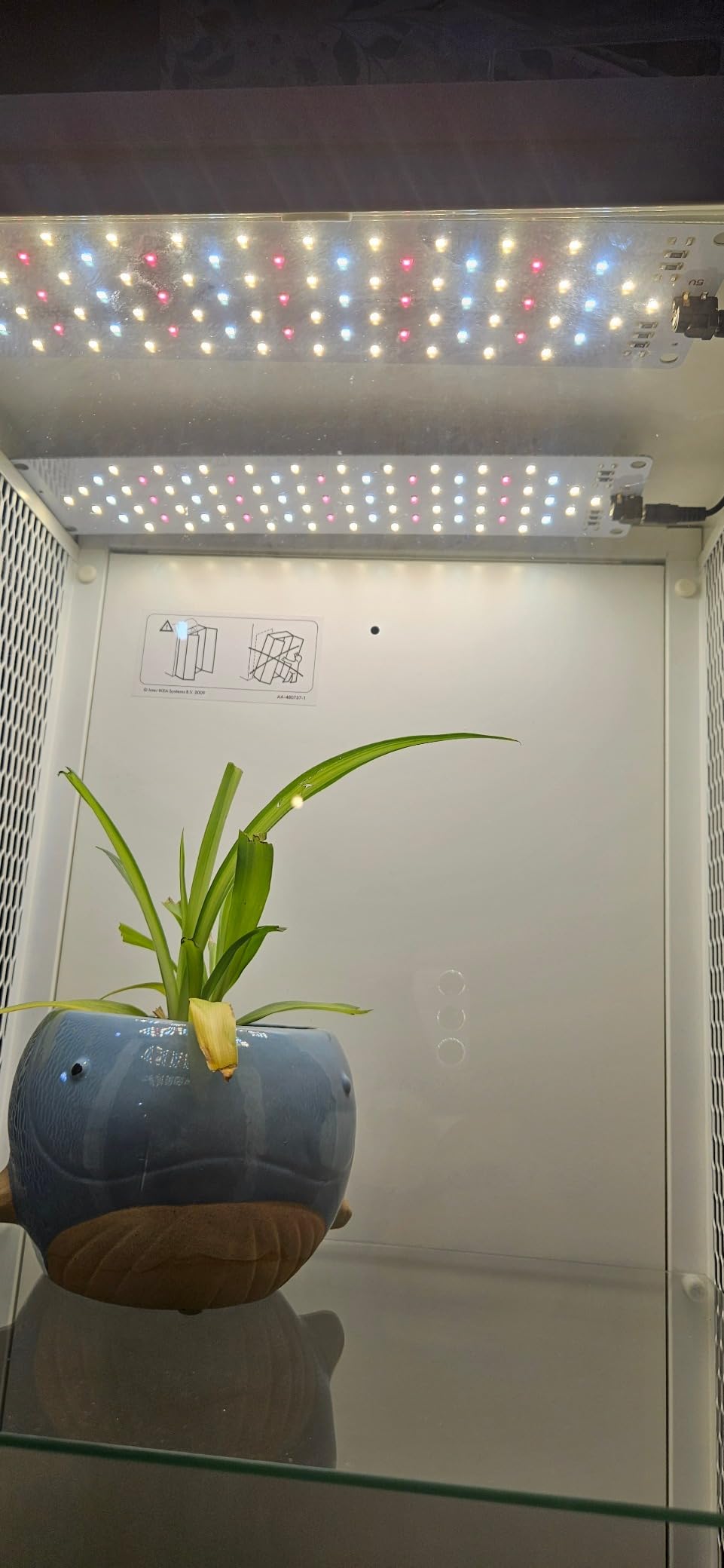 Grow Light,40W Ultra-Thin Panel Grow Lights for Indoor Plants,316LEDs Full Spectrum Grow Lights for Under Cabinet Plant, Grow Lamp with 3/9/12H Timer,10 Dimmable Levels for Plants Growing (4pcs) customer photo 1
