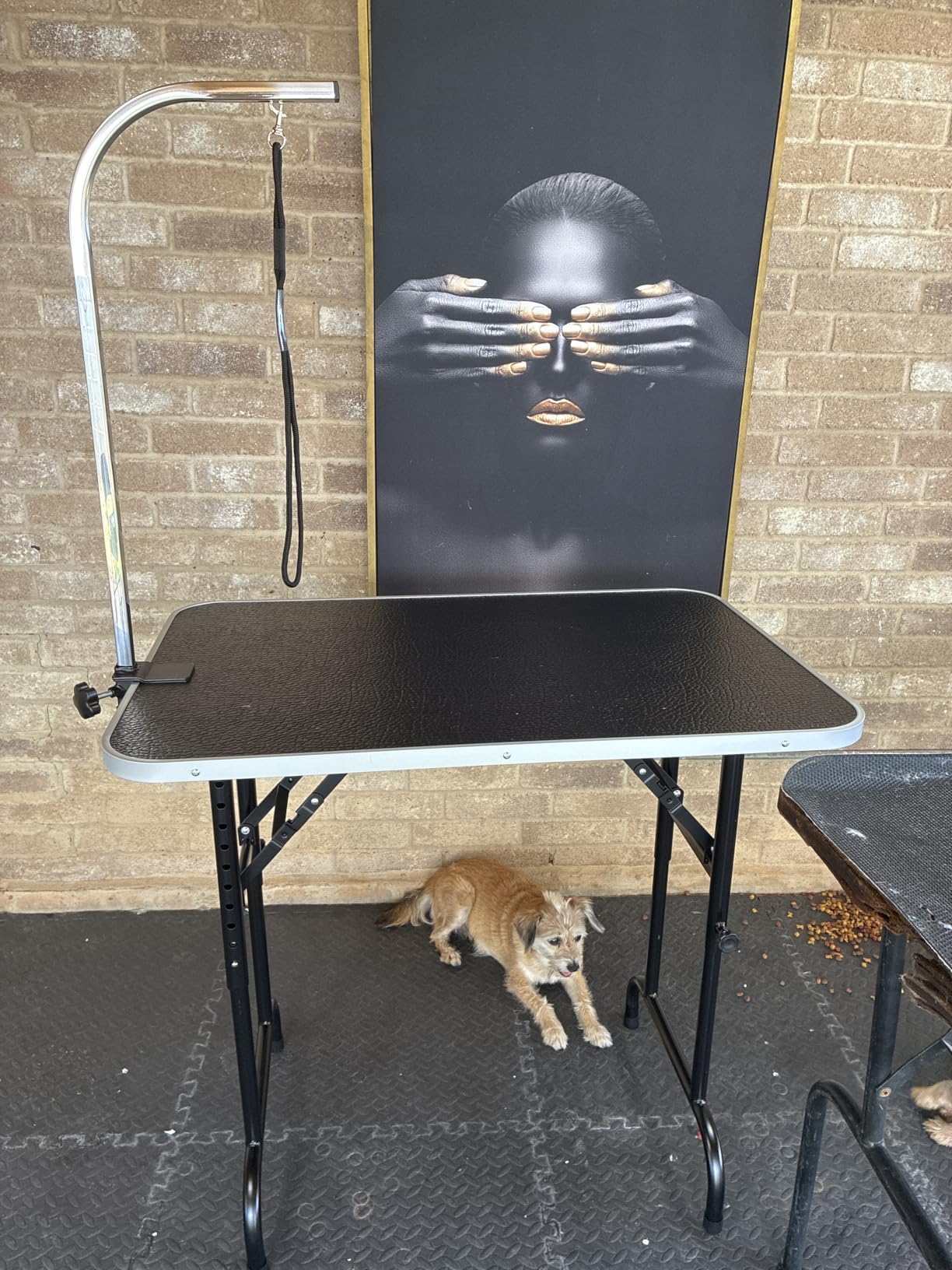 LEIBOU 45'' Height Adjustable(23''~33.8'') and Foldable Pet Dog Grooming Table Heavy Duty Iron Frame with H-Shape Grooming Arm & Noose, Maximum Capacity Up to 260lbs, Black customer photo 2