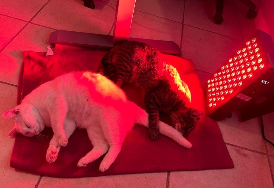 Hooga Red Light Therapy Panel Device - Full Body Panel, 630nm 660nm 810nm 850nm Red & Near Infrared Light Therapy, 300 Quad Chip LEDs, Brightness Control, Pulse Mode - ULTRA1500 customer photo 2