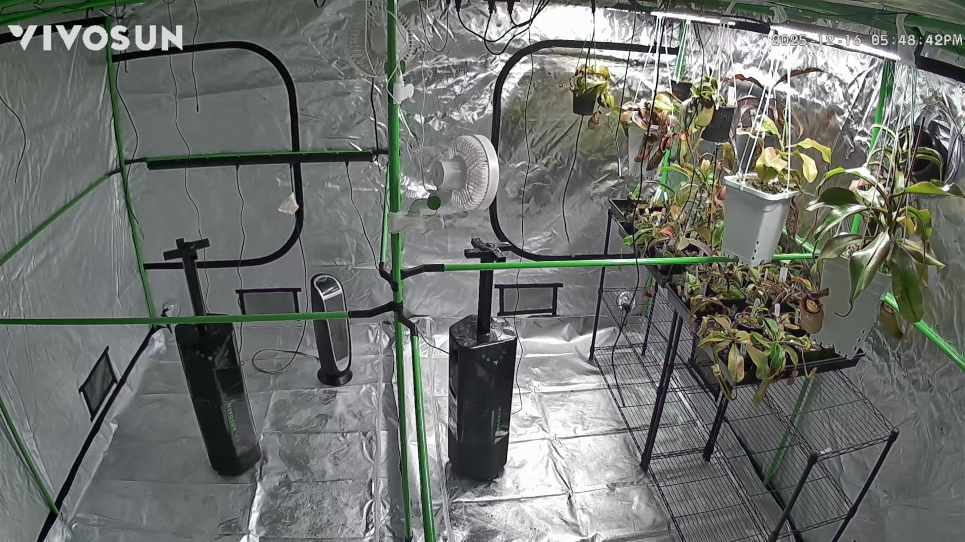 VIVOSUN P224 PRO Grow Tent 2x2 Small Indoor Grow Tents 24