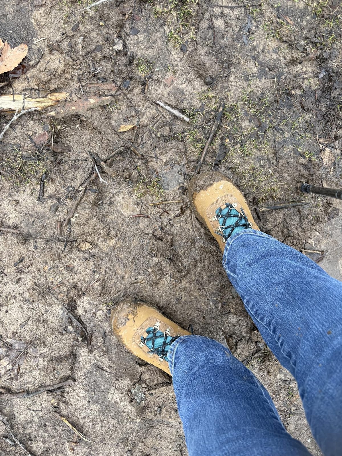 Columbia Women's Newton Ridge Plus Waterproof Hiking Boots customer photo 2