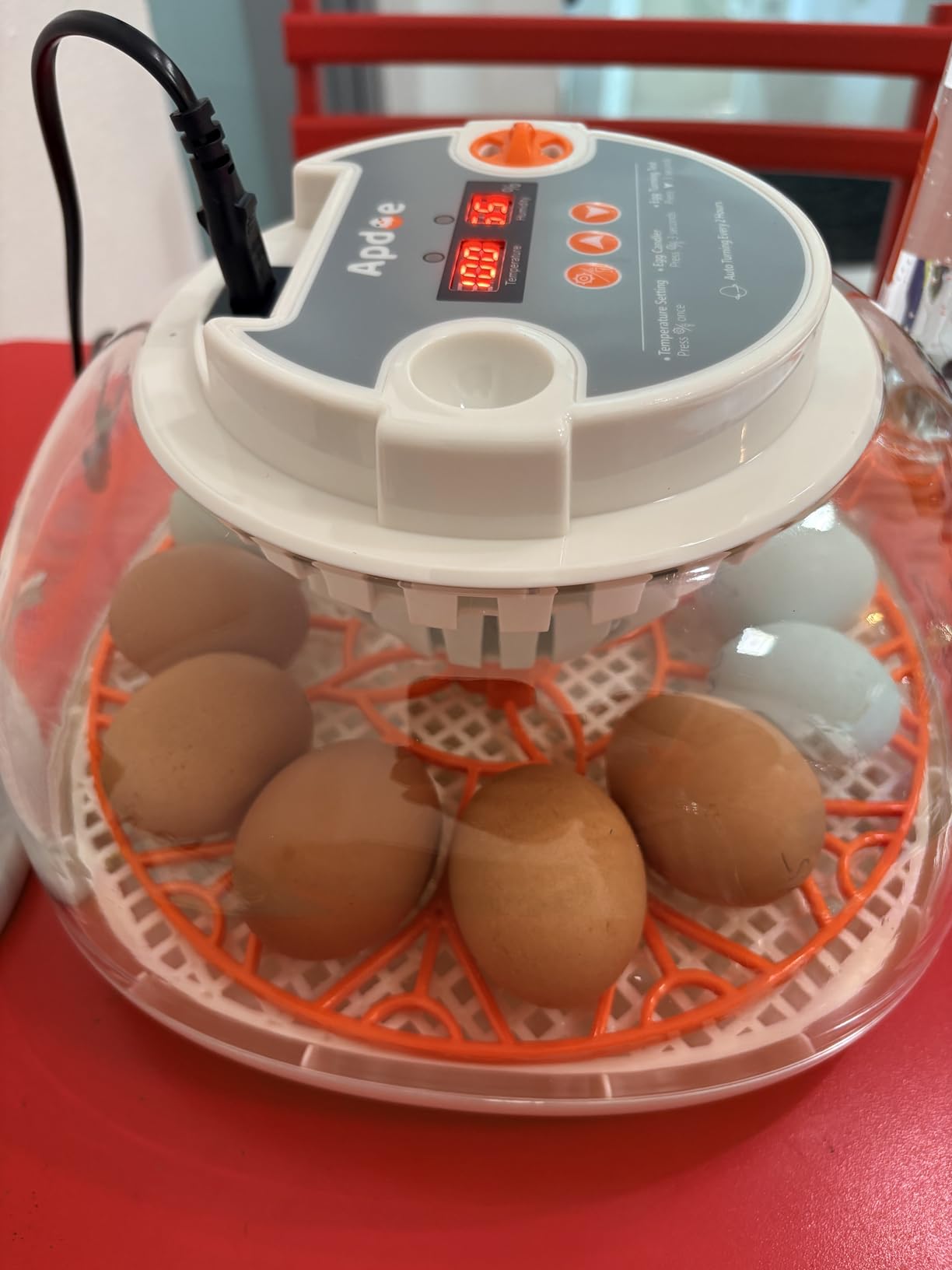 APDOE Egg Incubators for Hatching Eggs, Temperature and Humidity Control, Automatic Egg Turning, Egg Candler, External Water Bottle, Air Vent, for Chicken, Duck & Quail Eggs, 12 Eggs customer photo 1