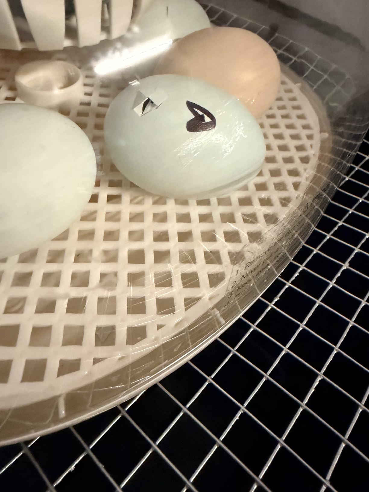 APDOE Egg Incubators for Hatching Eggs, Temperature and Humidity Control, Automatic Egg Turning, Egg Candler, External Water Bottle, Air Vent, for Chicken, Duck & Quail Eggs, 12 Eggs customer photo 2