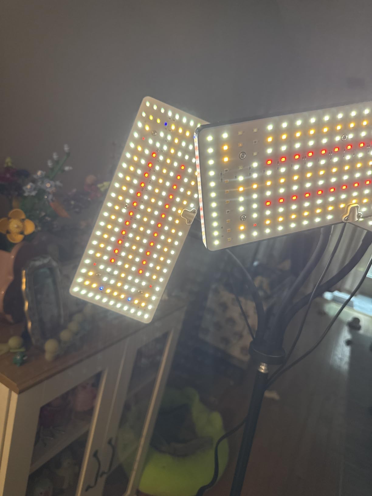 LBW Latest Grow Light for Indoor Plants customer photo 1