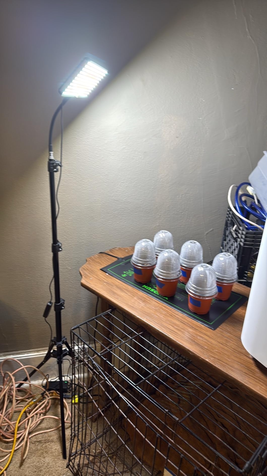 LBW Latest Grow Light for Indoor Plants customer photo 2