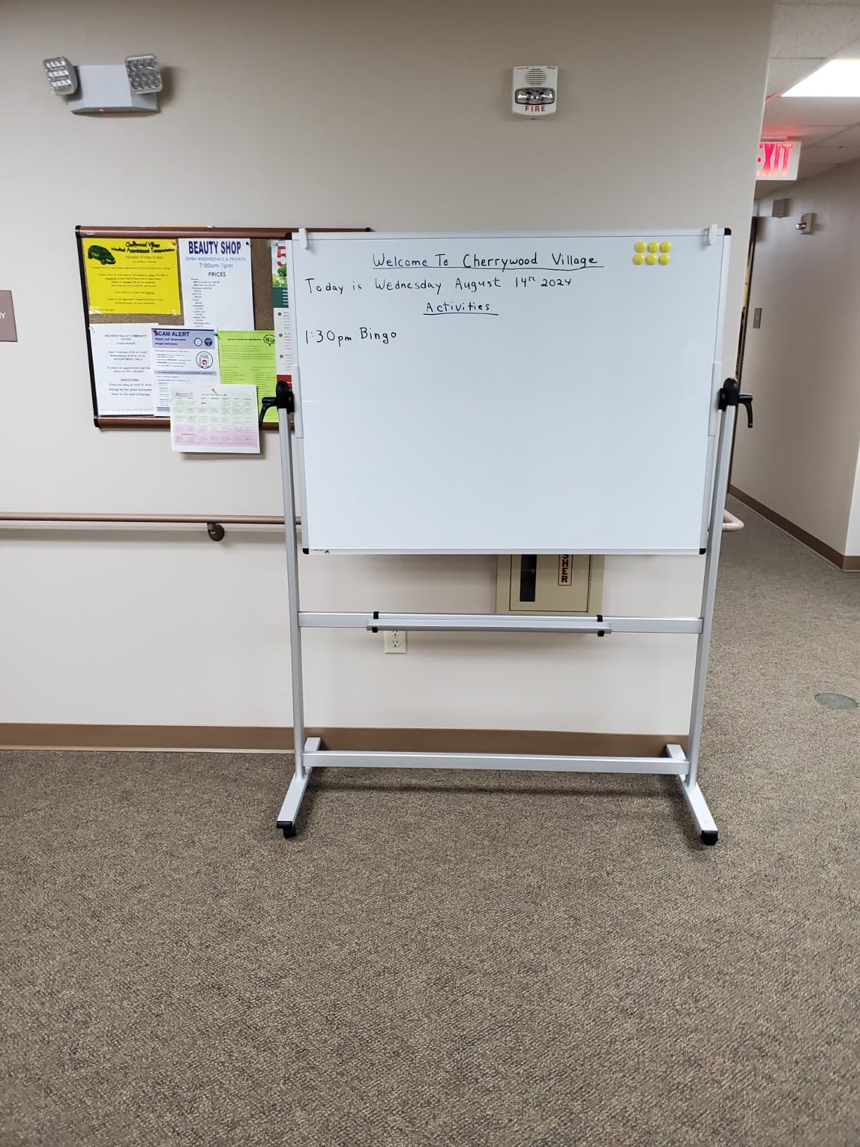 VIZ-PRO Rolling Whiteboard, 60