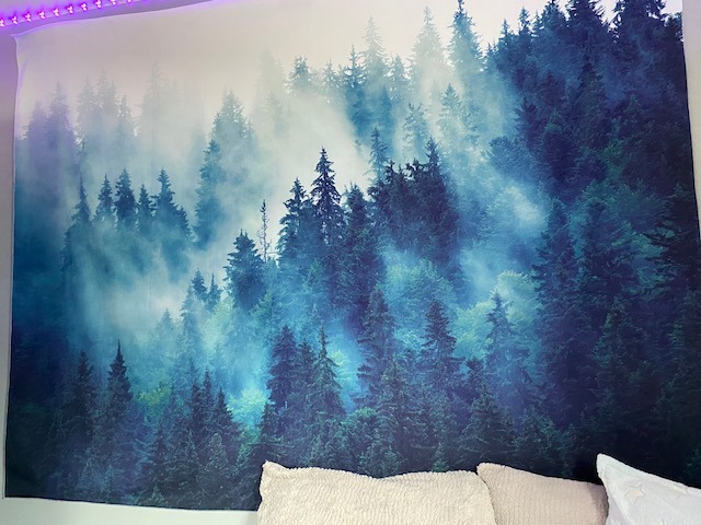 EMMTEEY Forest Tapestry 80X60 Inch Starry Night Sky with Dark Stars | Aesthetic Wall Hanging Backdrop, Ceiling Wall Art, for Bedroom Living Room Dorm Office Home Décor, for Birthday Poster Décor customer photo 2