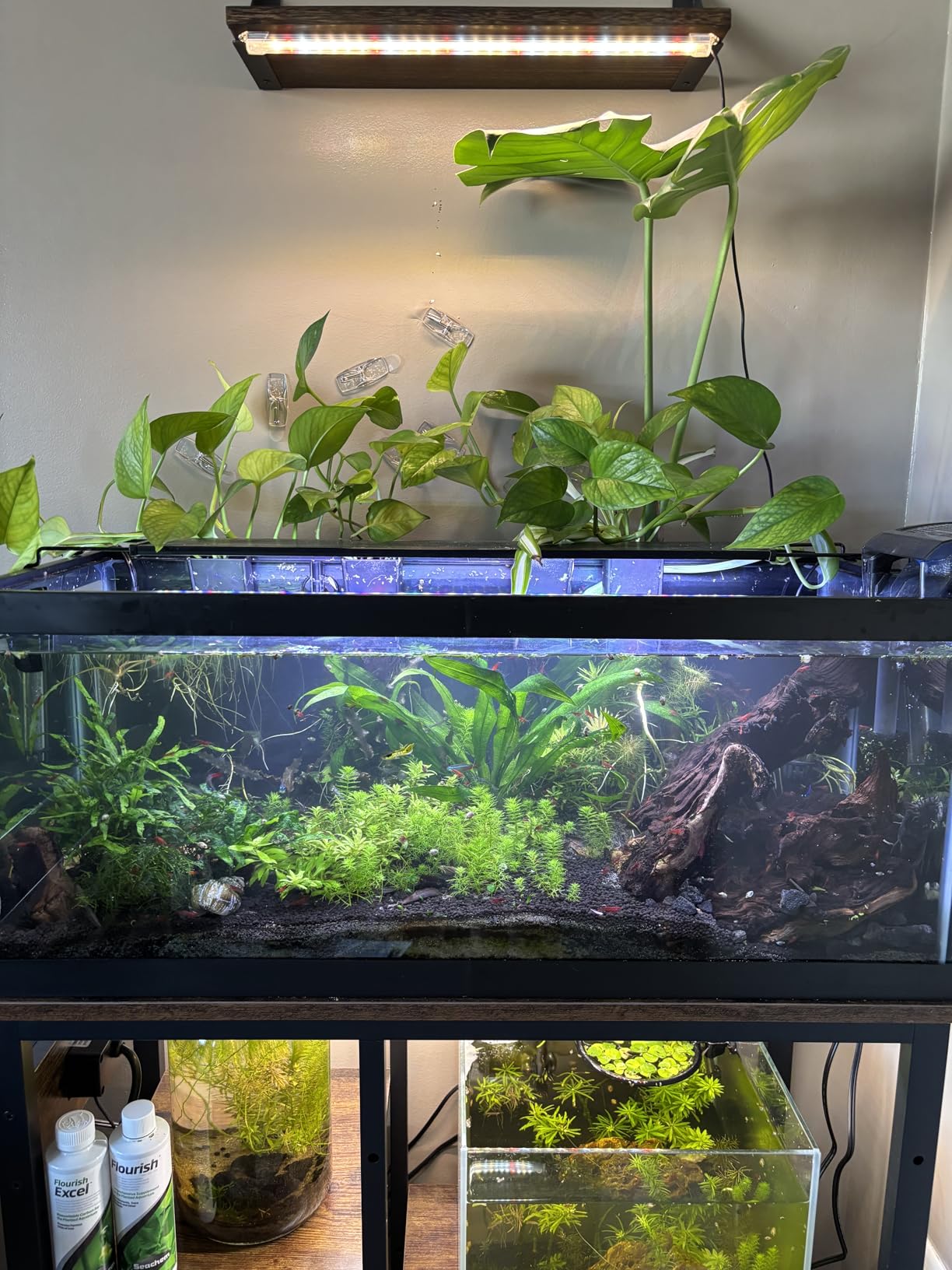 Bestier 20-29-37 Gal Fish Tank Stand with Power Outlet, Rustic Brown, 30x13 | 6-Leg Steel Frame, 3-Tier Adjustable Shelves for Filters Storage, 400Lbs Capacity, 5-In-1 Power Outlet, 4 Leveling Feet customer photo 1