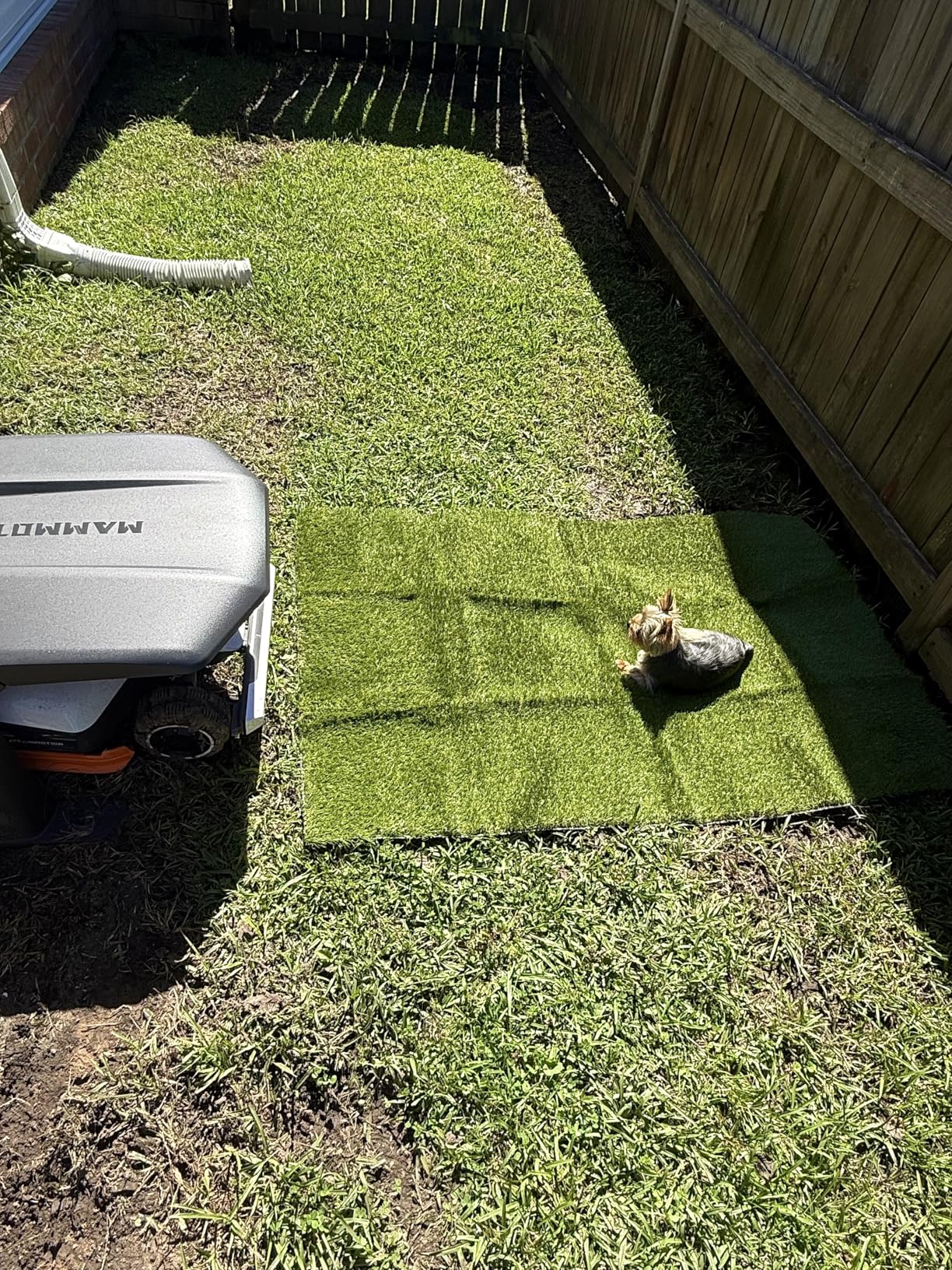 CooRug Professional Artificial Turf Grass Outdoor, 3x5 Ft Fake Grass | Realistic, Thick and Soft, Reusable, Easy to Clean, with Drainage Holes, Pet Friendly, Fire-retardant, UV Resistance customer photo 1