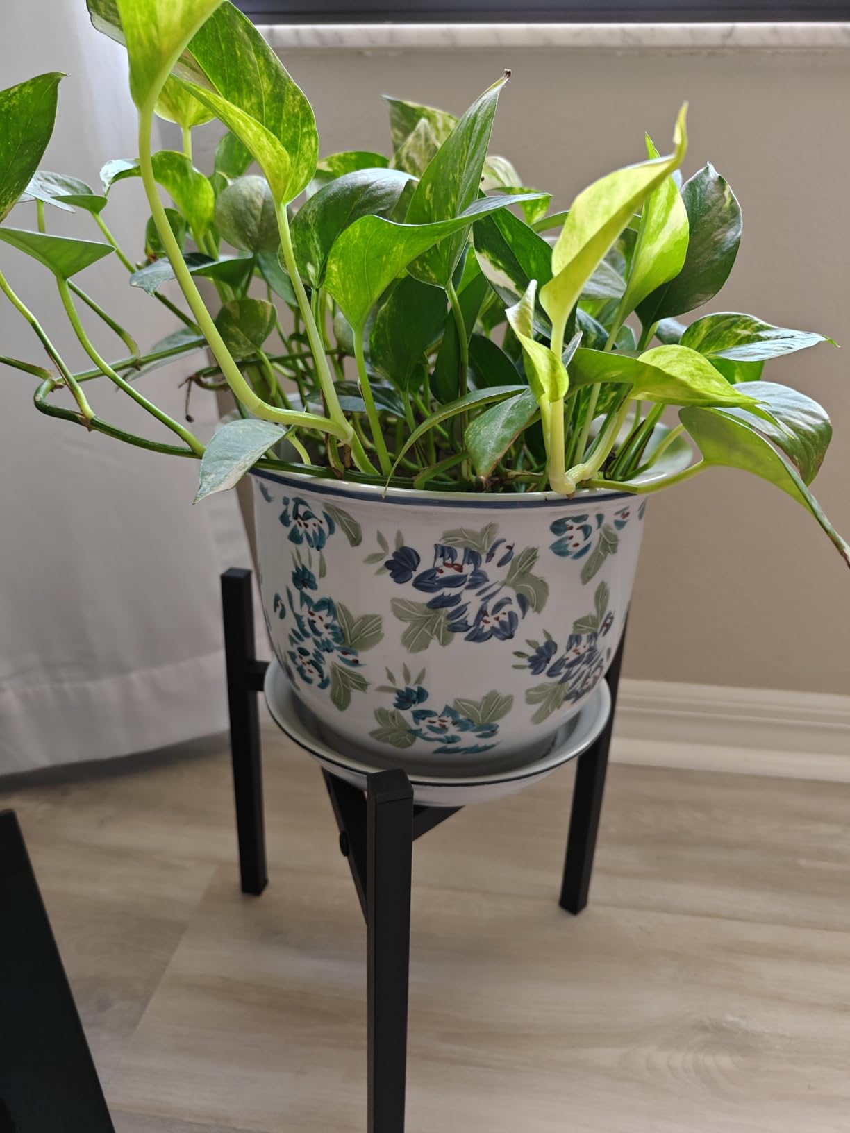 Airpark Plant Stand Indoor Adjustable, Metal Modern Plant Stands, Heavy Duty Stable Plant Pot Flower Holder Indoor Outdoor Corner, Fit 8 9 10 11 12 inch Pots, Black (Pot & Plant Not Included) customer photo 1