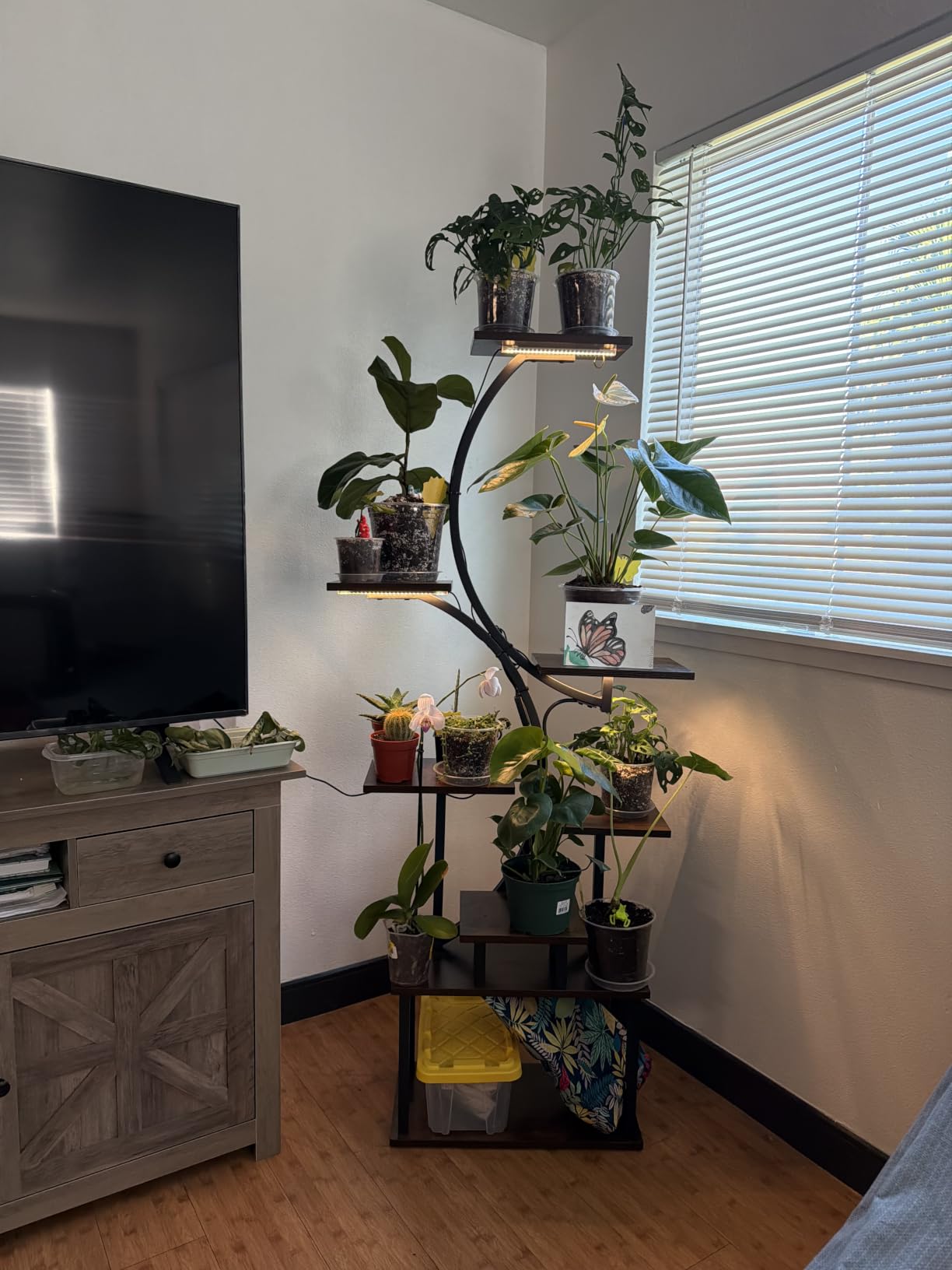 BACEKOLL Plant Stand Indoor with Grow Light, 8 Tier Corner Plant Shelf Tall | 62