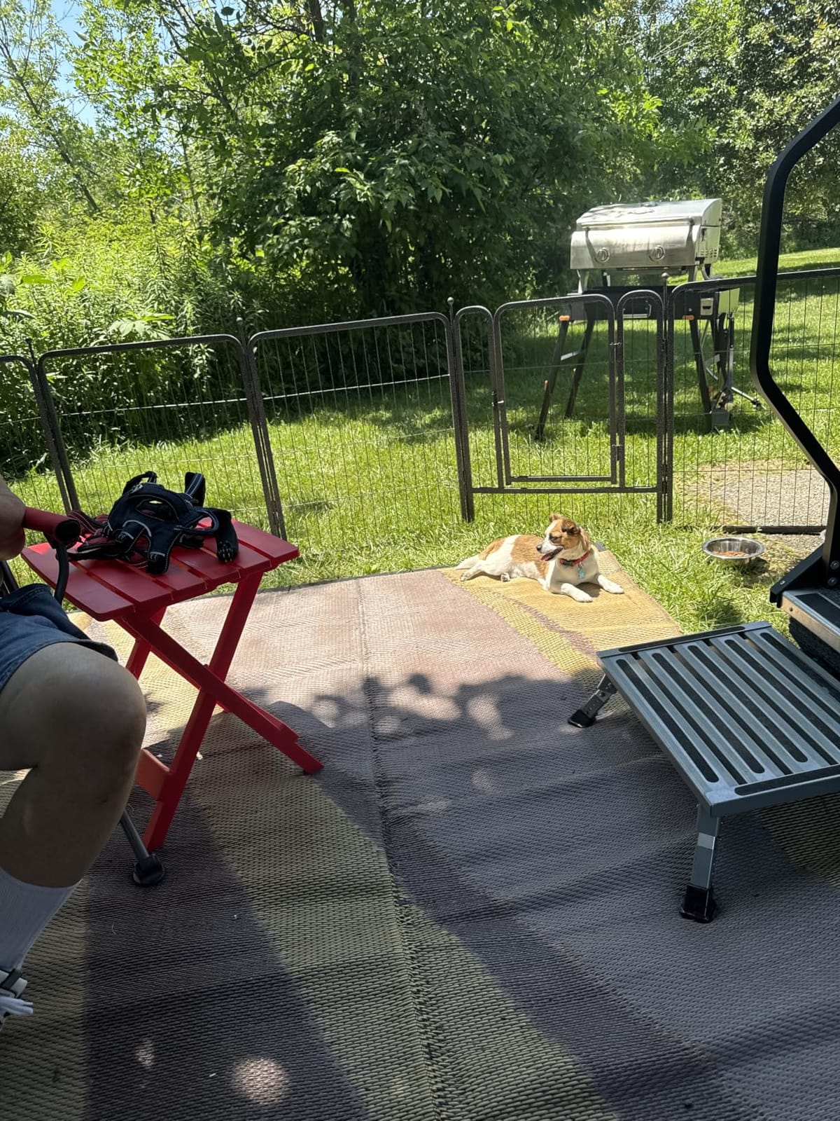 Musen Dog Playpen Outdoor, 16 Panels Dog Pen 40