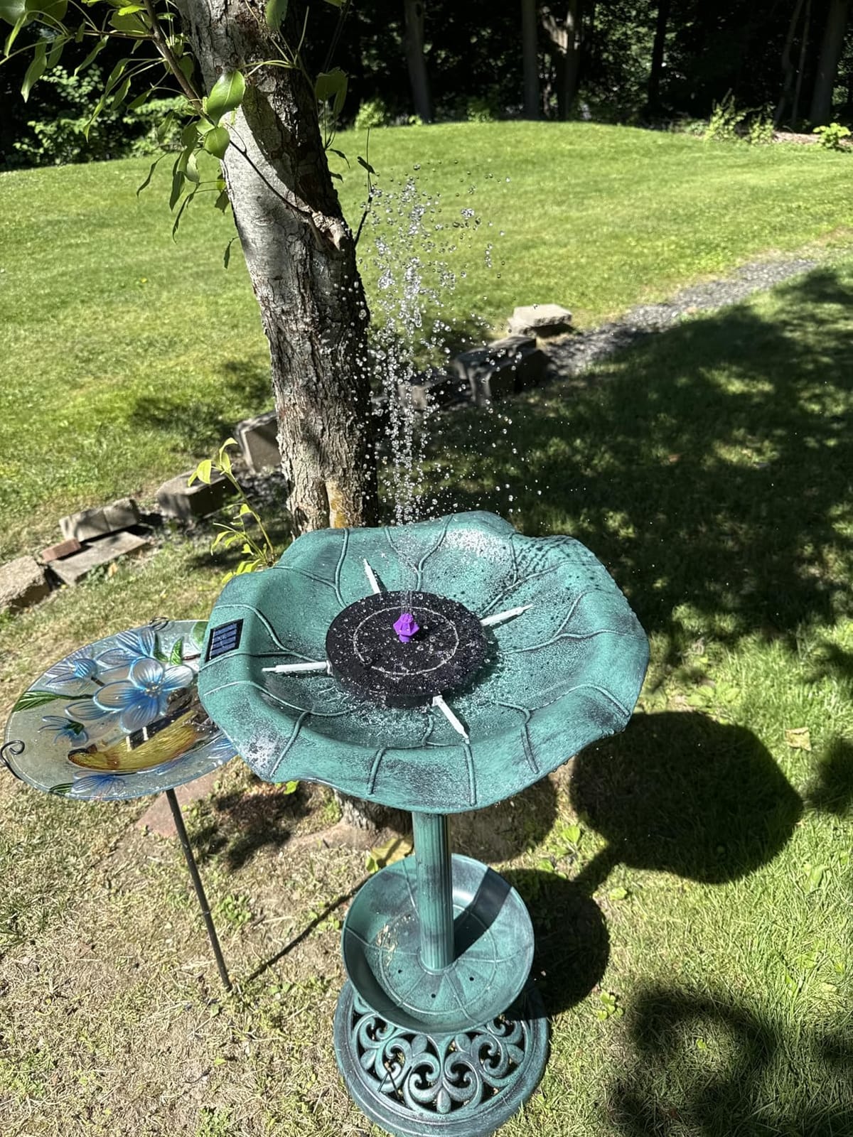 Solar Bird Bath Fountain Pump, Solar Powered Water Pump, Outdoor Water Fountain with 8-in-1 Nozzles, 4 Fixed Pipes for Hummingbirds, Garden, Pool, Pond customer photo 1