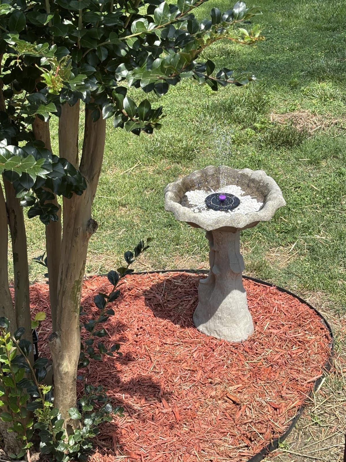 Solar Bird Bath Fountain Pump, Solar Powered Water Pump, Outdoor Water Fountain with 8-in-1 Nozzles, 4 Fixed Pipes for Hummingbirds, Garden, Pool, Pond customer photo 2