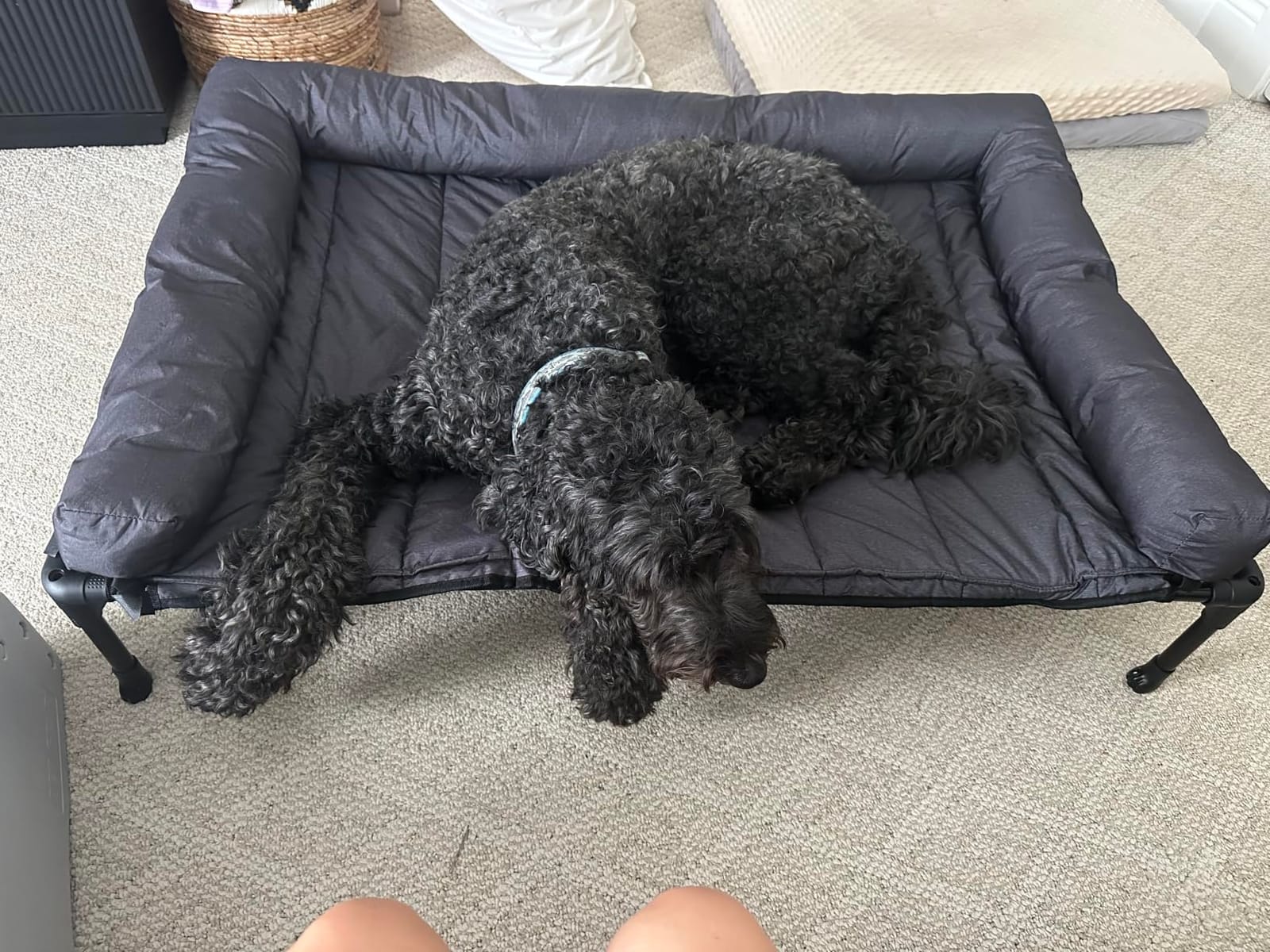 Veehoo Outdoor Elevated Dog Bed with Waterproof Bolster Cushion, Cooling | Raised Dog Bed with Removable & Washable Mat Topper, Breathable Mesh, Dog Couch Cot for Indoor Outdoor, 42