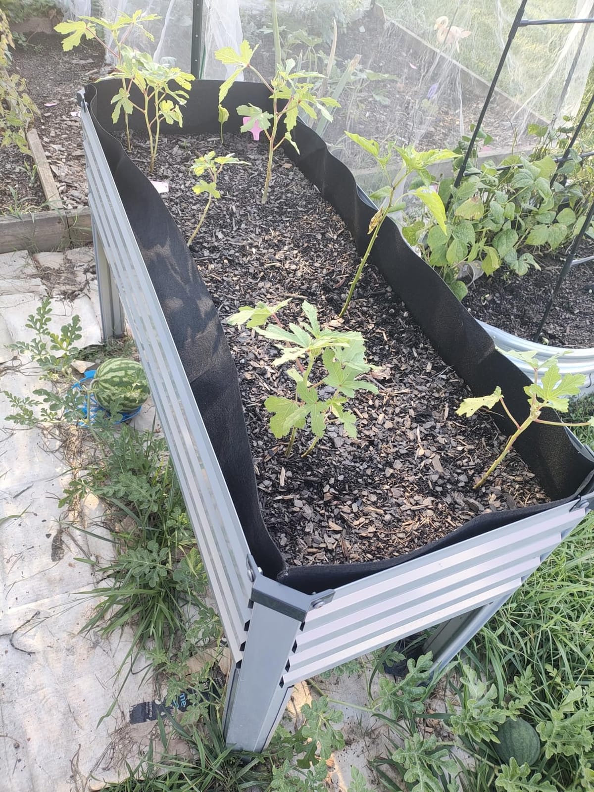 DIIYIV 2PCS Galvanized Raised Garden Bed with Legs, 2PCS 48×18×30in Elevated Planter Box for Backyard, Outdoor Garden, Patio, Balcony, 300lb Capacity, Grey customer photo 2