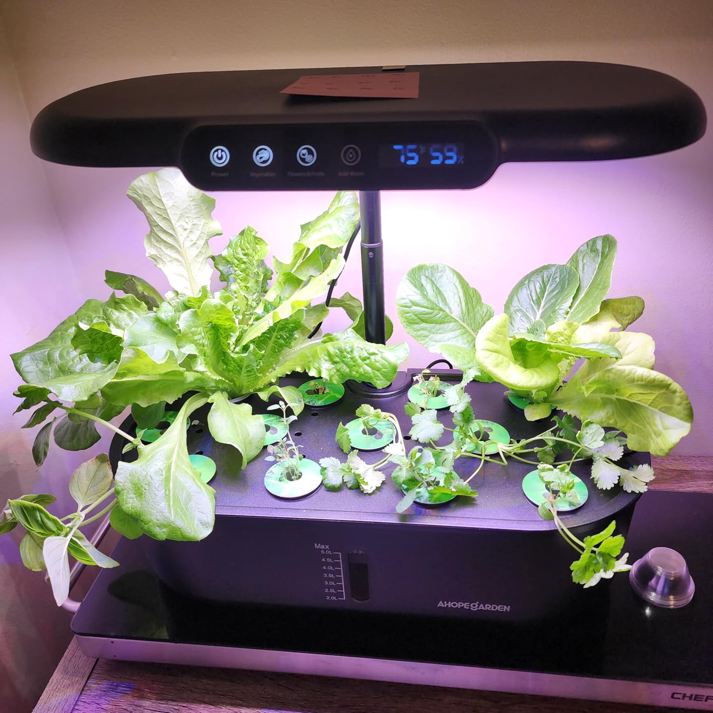 Ahopegarden Hydroponics Growing System kit: 12 Pods Indoor Herb Garden with Smart Environmental Detection - Full Spectrum LED Grow Light for Growing Vegetables, Herbs and Lettuce - Home Gardening customer photo 1
