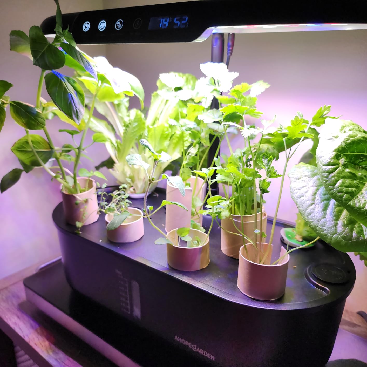 Ahopegarden Hydroponics Growing System kit: 12 Pods Indoor Herb Garden with Smart Environmental Detection - Full Spectrum LED Grow Light for Growing Vegetables, Herbs and Lettuce - Home Gardening customer photo 2