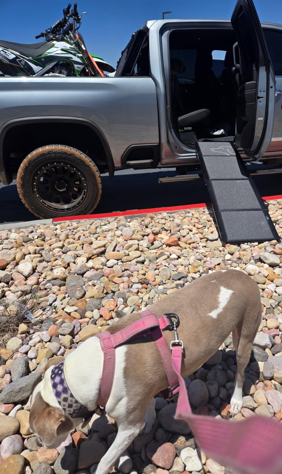 PetThem Dog Ramp for Car 71'' X-Long & 17.2