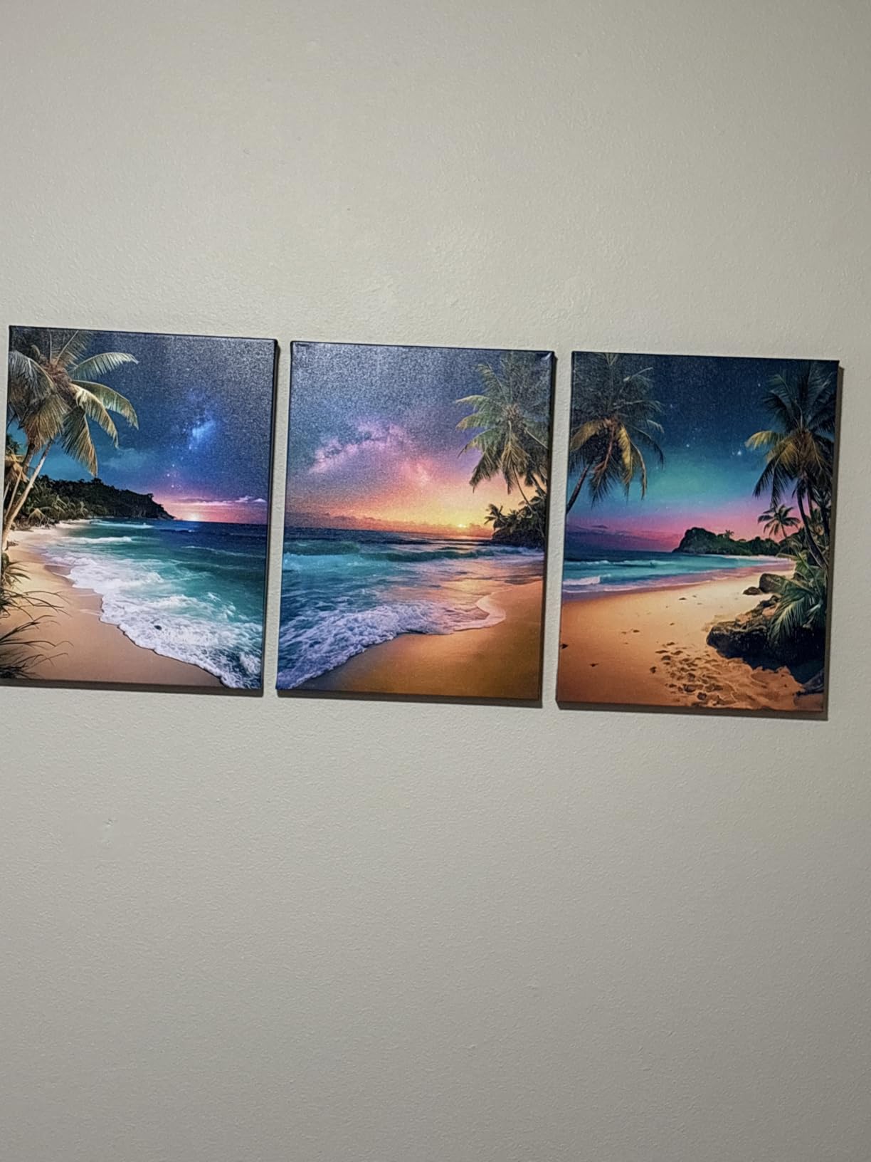 weiyiart 3-Piece Tropical Beach Wall Art, Northern Lights Ocean Sunset Canvas Prints, Palm Tree Coastal Seascape Decor for Living Room Bedroom Bathroom Office, 12