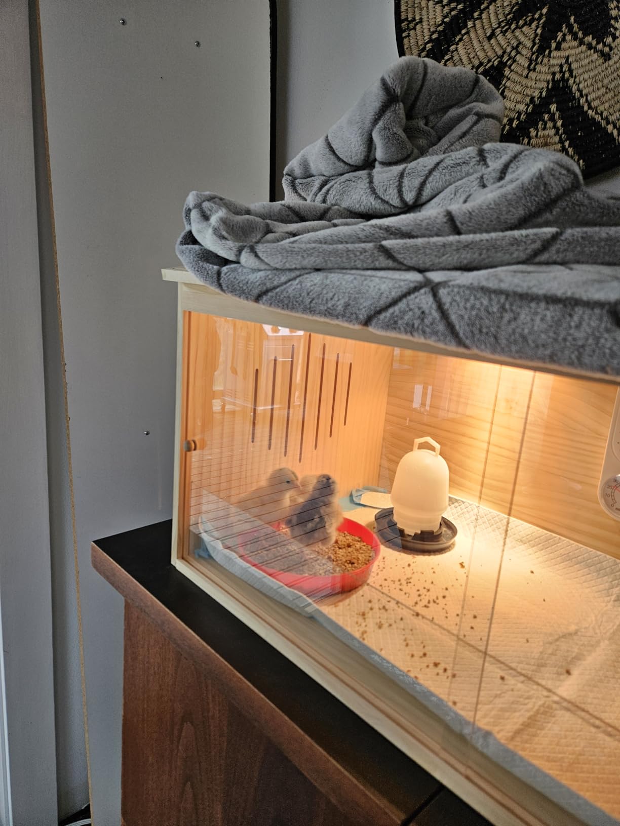 Large Wooden Chicken Brooder Box with Bulb Set and Thermometer - Brooder Box for Chicks Indoor Accommodates Up to 12 Chicks - Ideal for Chickens, Ducks, Quails, Hamsters, and Lizards (32x16x16 Inches) customer photo 2